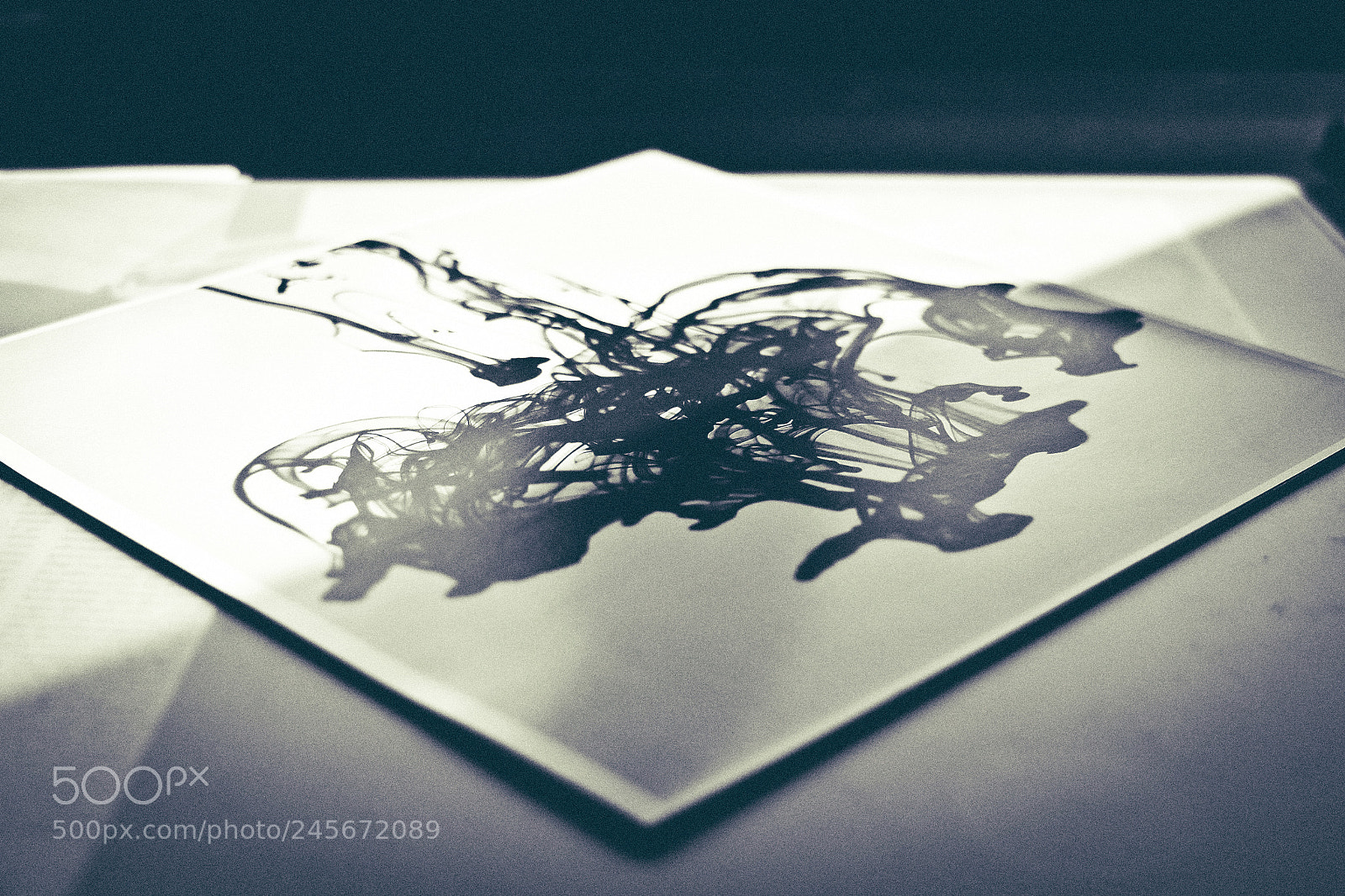 Canon EOS 550D (EOS Rebel T2i / EOS Kiss X4) sample photo. Vinyl photography