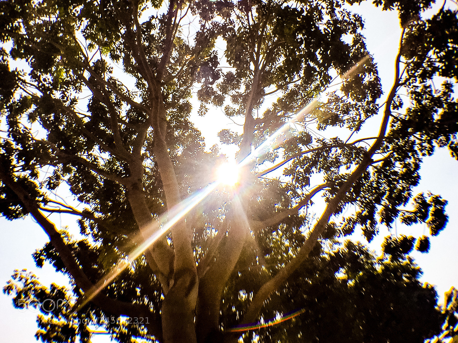 Apple iPhone 6 Plus sample photo. Super bright sunlight. photography