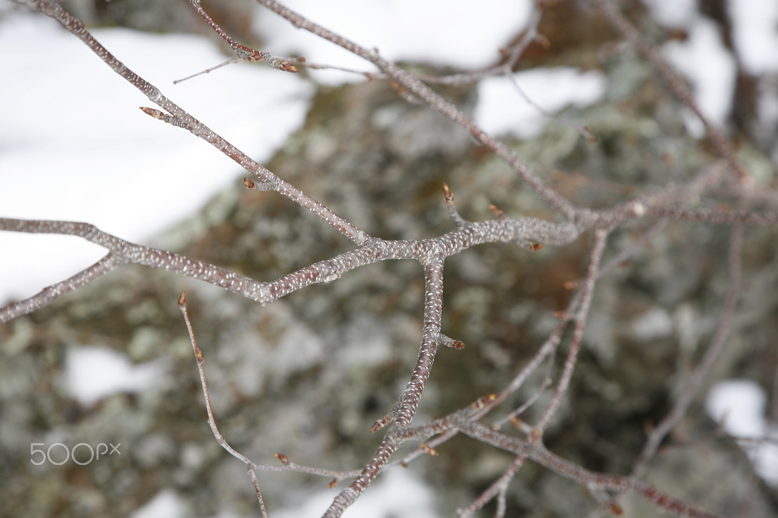 Canon EOS 5D + Canon EF 24-105mm F4L IS USM sample photo. Mg photography