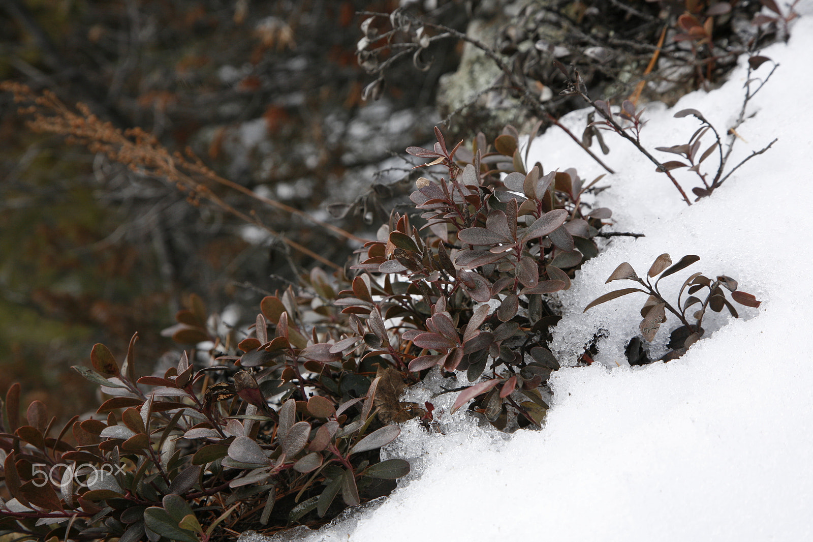 Canon EOS 5D + Canon EF 24-105mm F4L IS USM sample photo. Mg photography