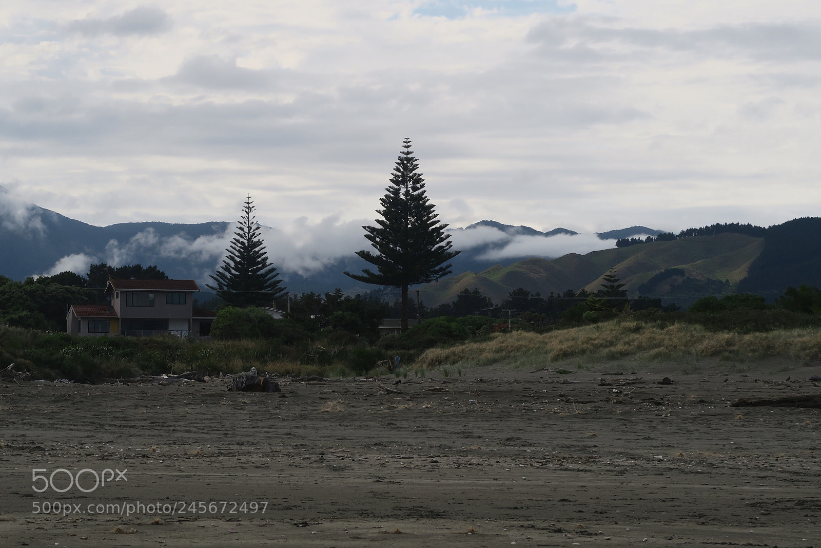 Canon PowerShot G7 X sample photo. Early morning - nz photography