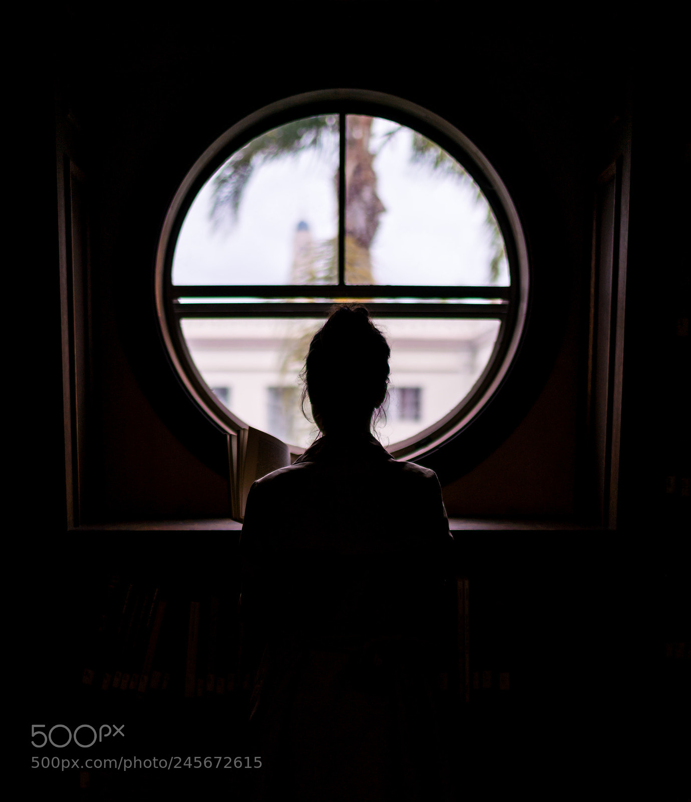 Sony a7R II sample photo. Reading photography
