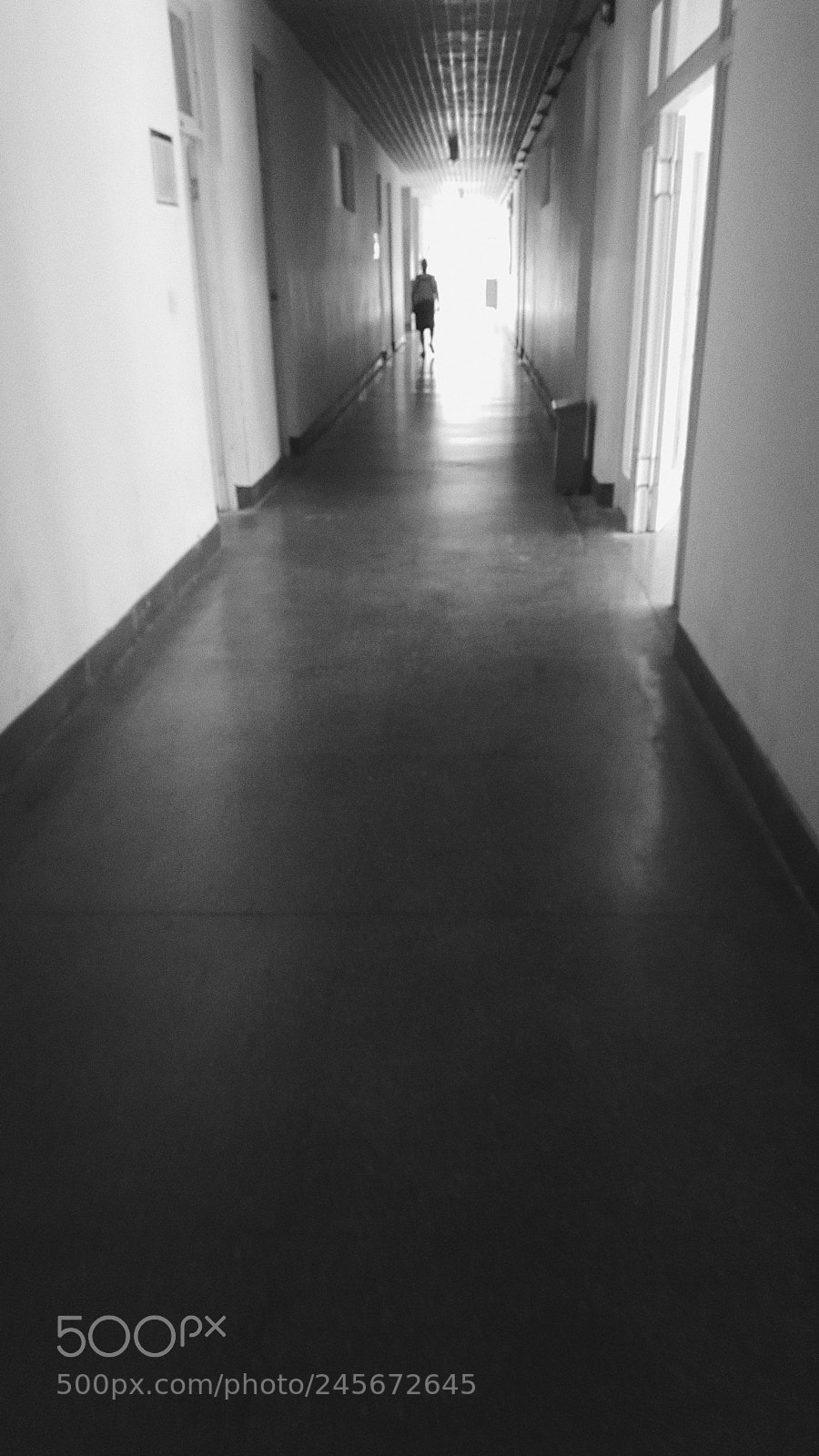 Samsung Galaxy S6 sample photo. Untitled photography