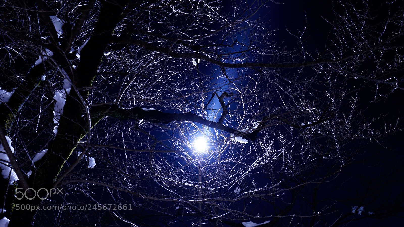 Sony a7R II sample photo. Winter light fantasy photography