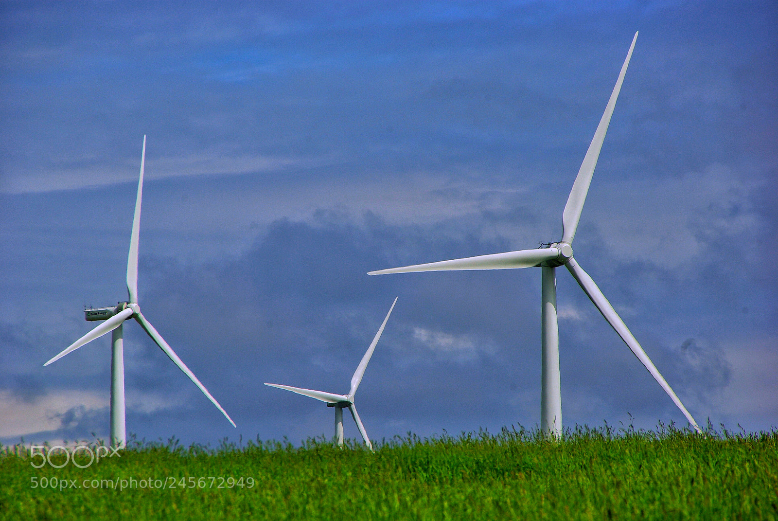 Pentax K10D sample photo. Beyond the meadow photography