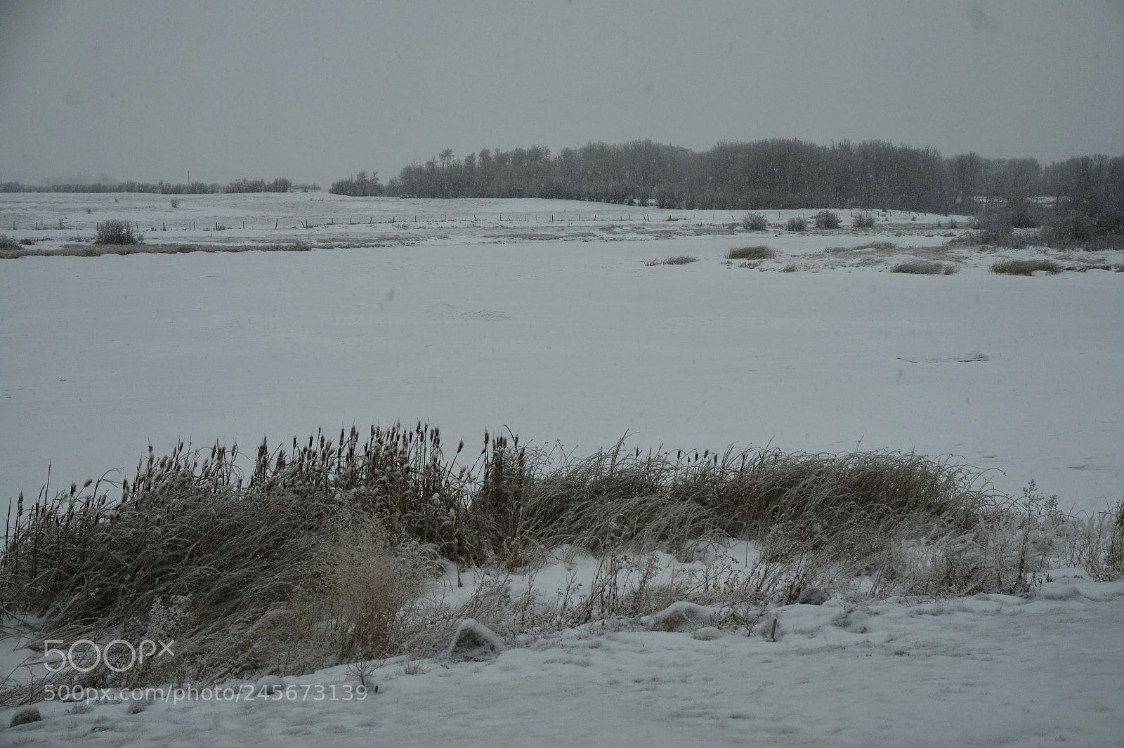 Sony Alpha a5000 (ILCE 5000) sample photo. Fullsizeoutput photography
