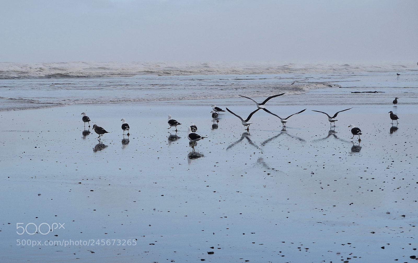 Canon PowerShot G7 X sample photo. Waikanae beach - nz photography