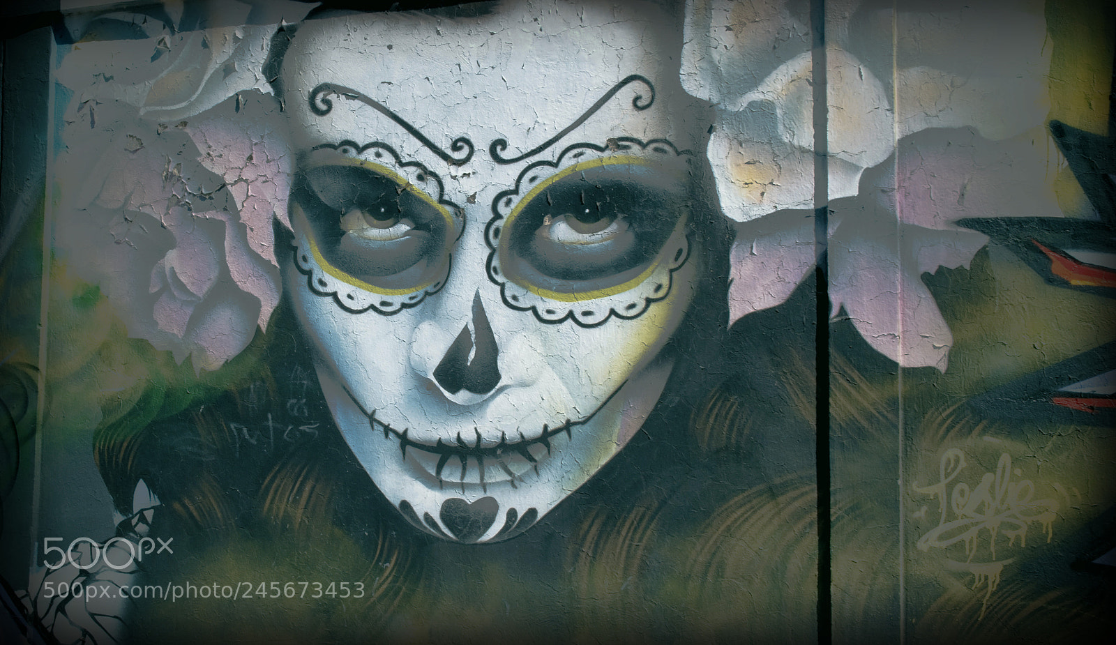 Nikon D5600 sample photo. Catrina grafitty photography
