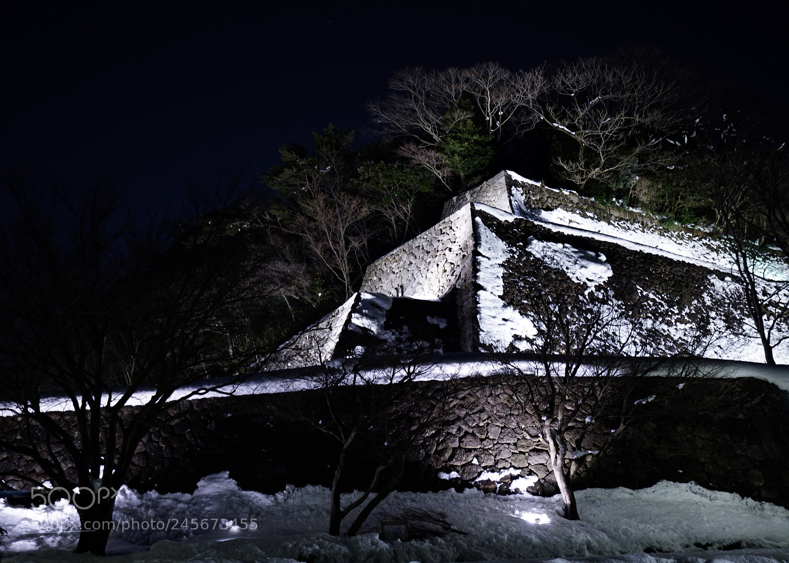Sony a7R II sample photo. Night castle in snow photography