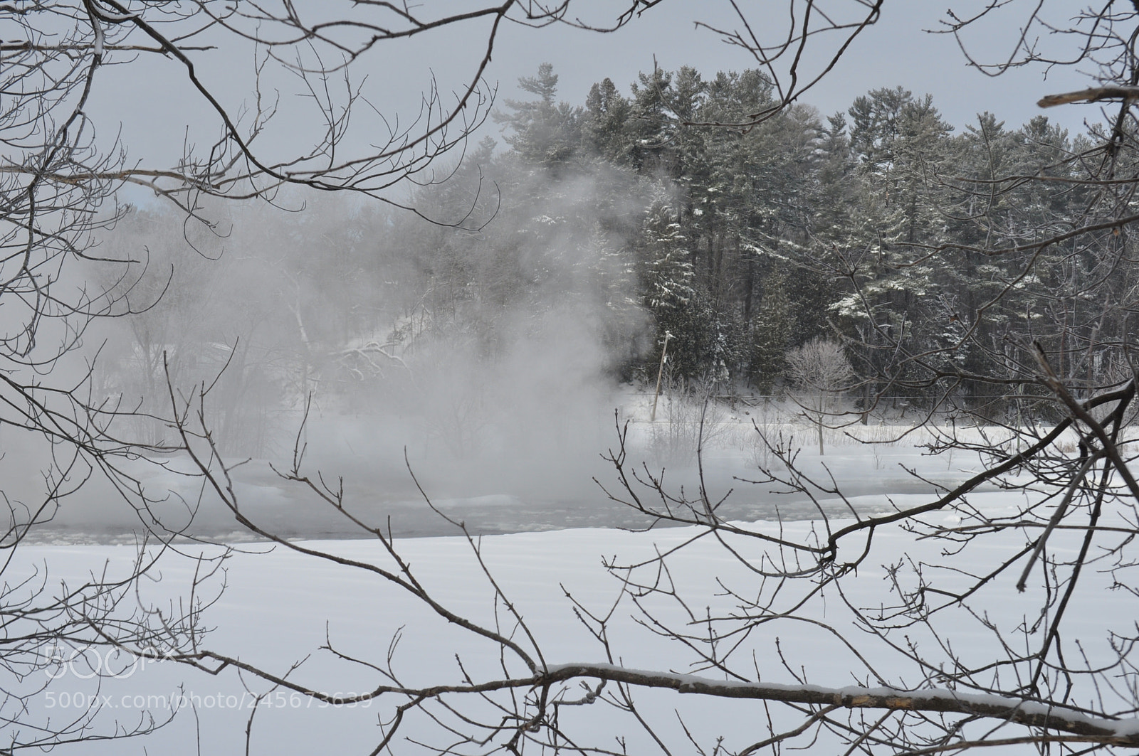 Nikon D5000 sample photo. Icy mist photography
