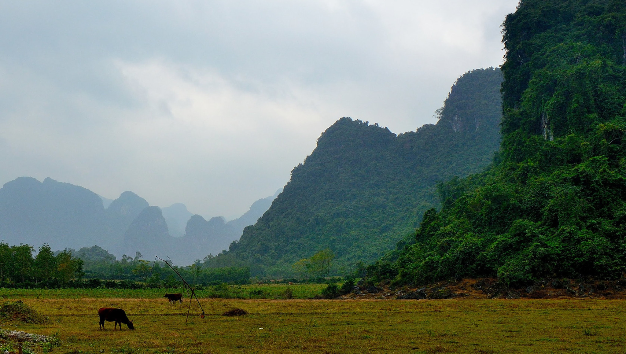Nikon D3200 sample photo