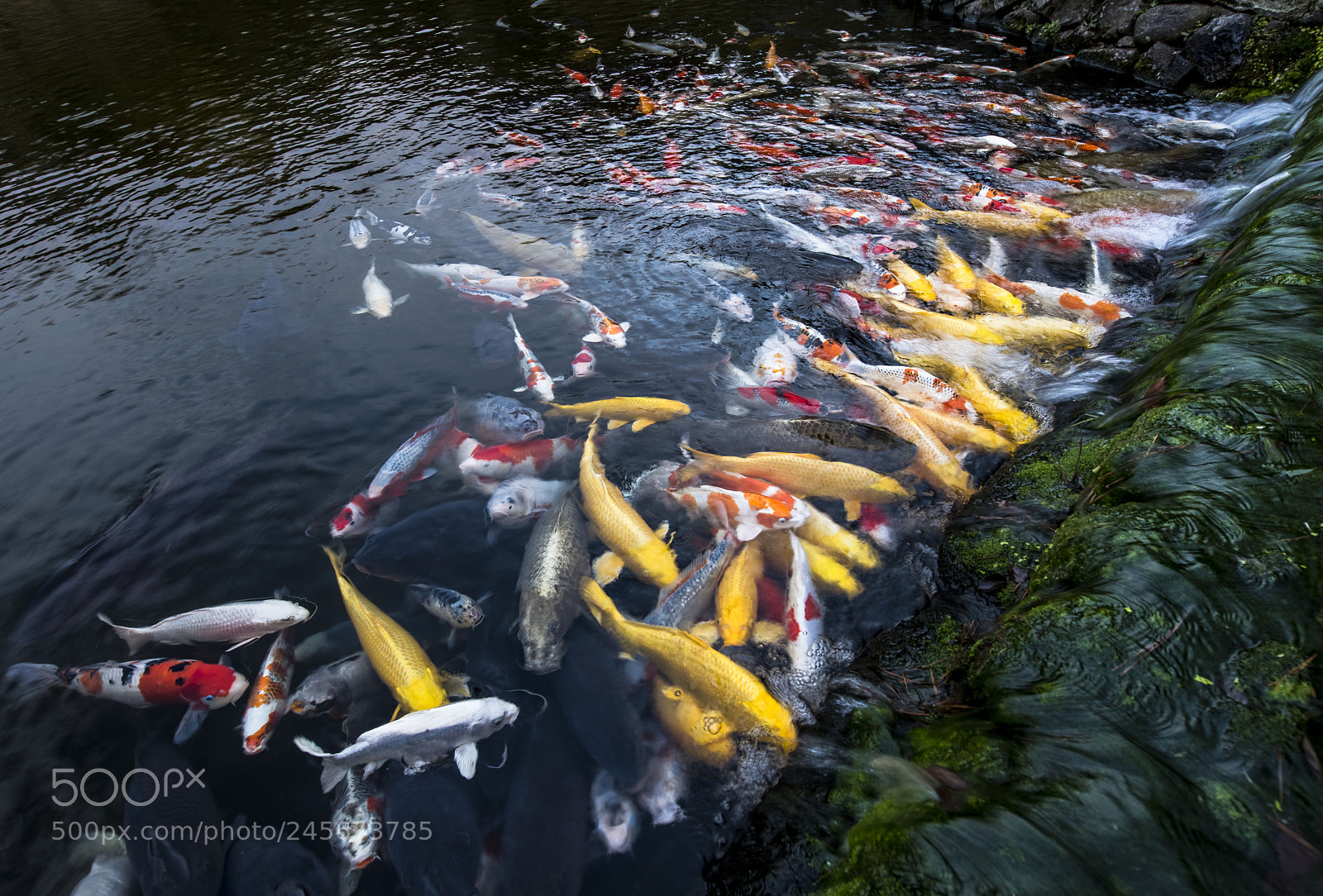 Nikon D810 sample photo. Takamatsu in japan photography