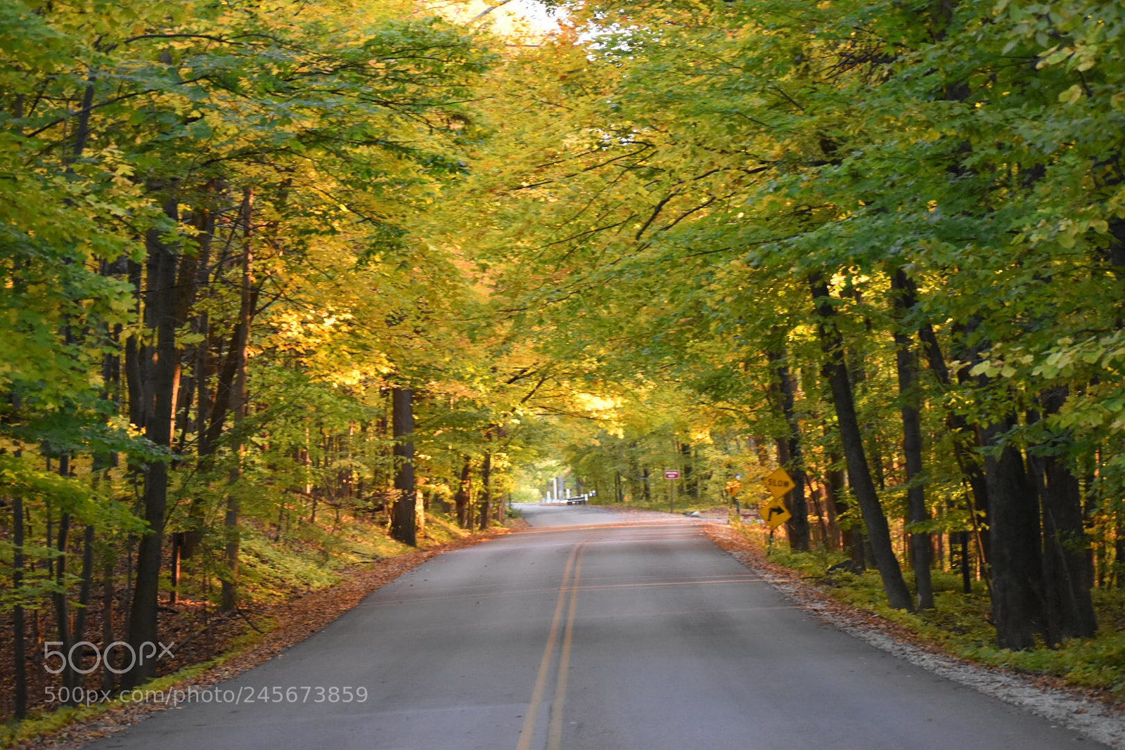 Nikon D5500 sample photo. Roads photography