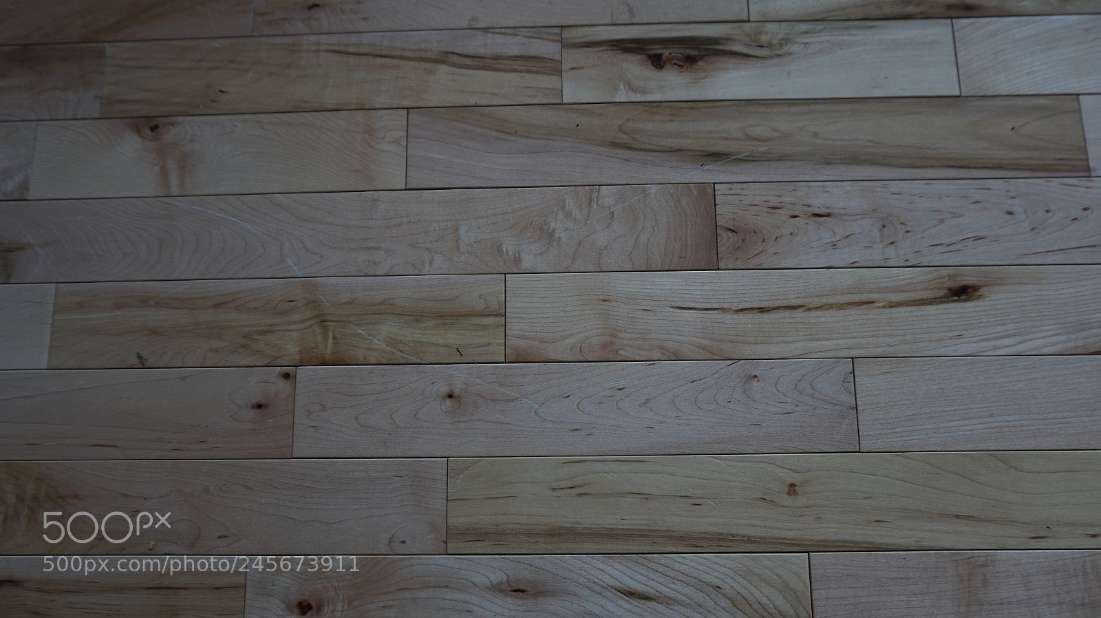 Sony Alpha a5000 (ILCE 5000) sample photo. Hard wood floor photography