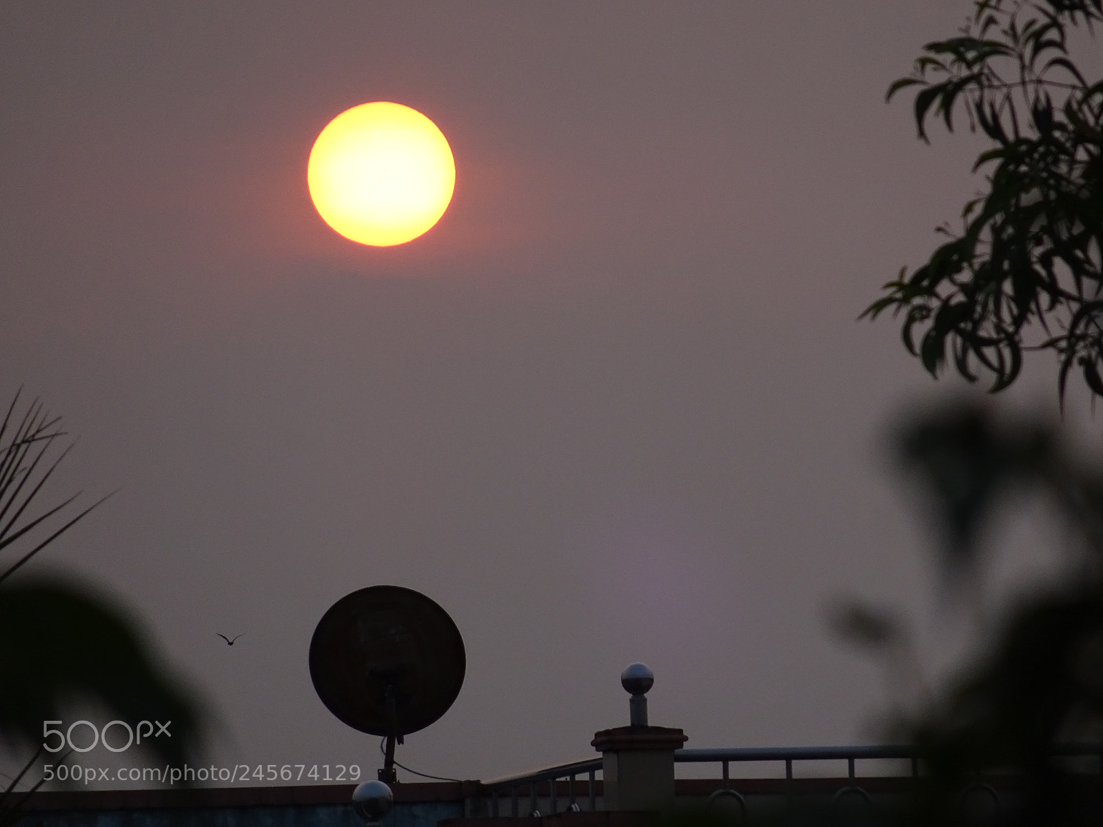 Sony Cyber-shot DSC-WX350 sample photo. Untitled photography