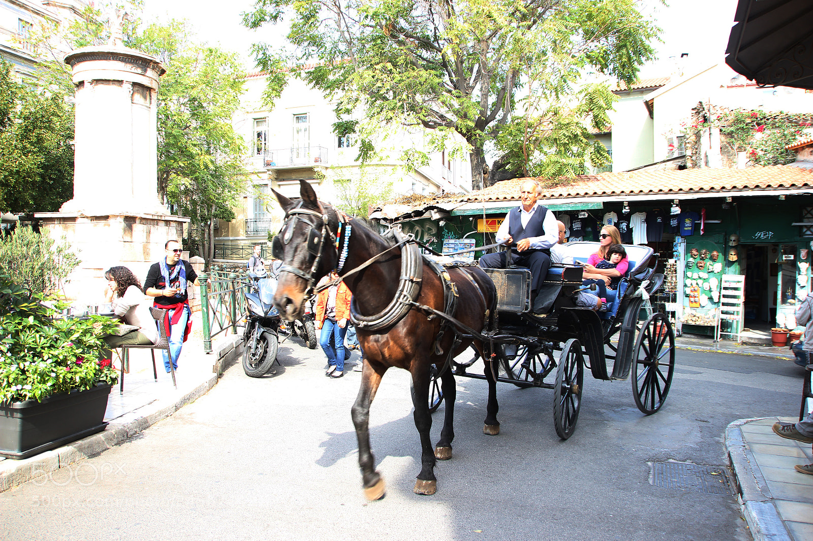 Canon EOS 600D (Rebel EOS T3i / EOS Kiss X5) sample photo. Carriage photography