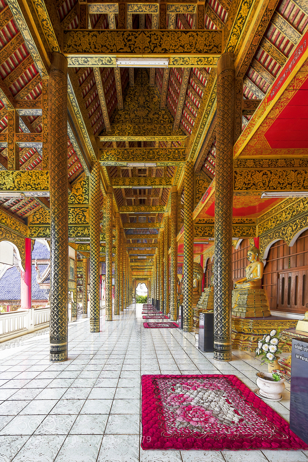 Nikon D850 sample photo. Image photography