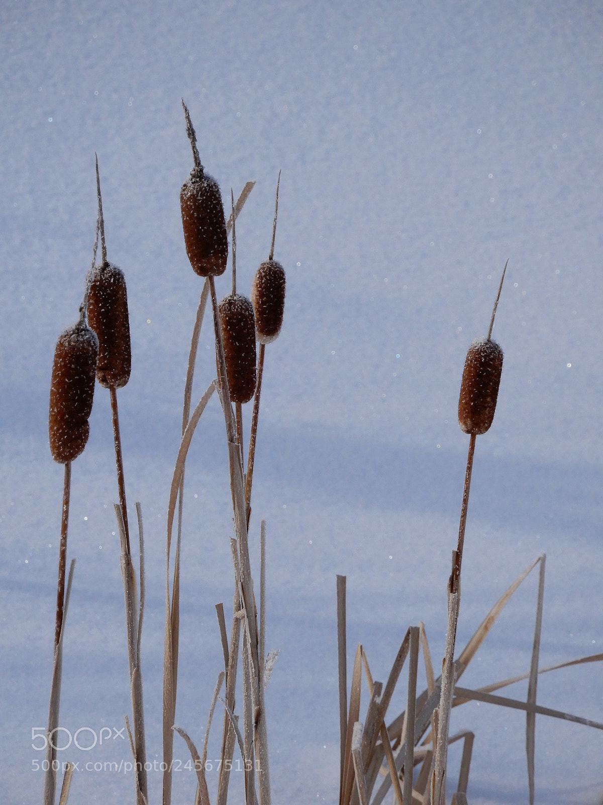 Nikon Coolpix A900 sample photo. Evidence i photography