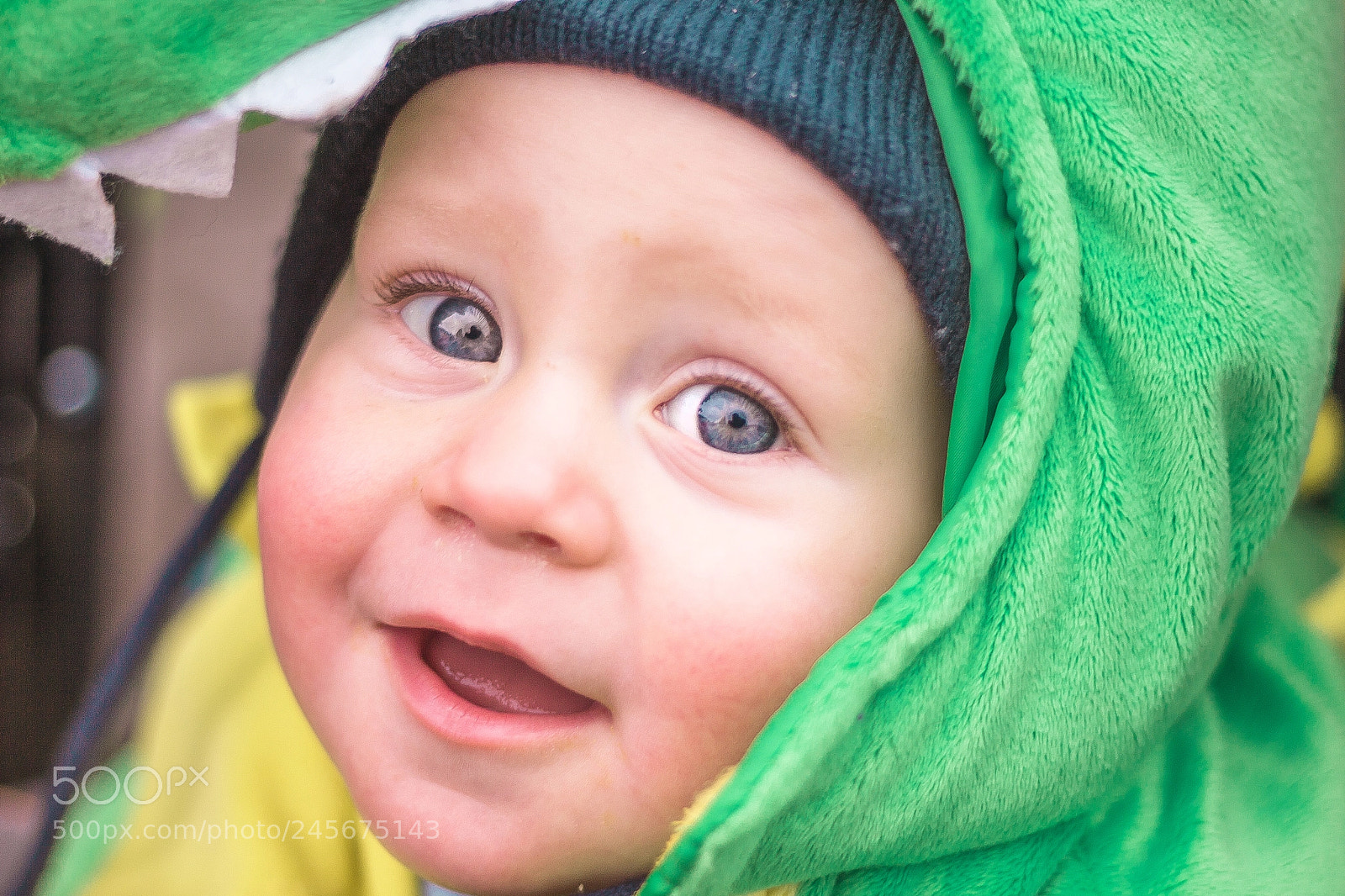 Canon EOS 700D (EOS Rebel T5i / EOS Kiss X7i) sample photo. The little dinosaur photography