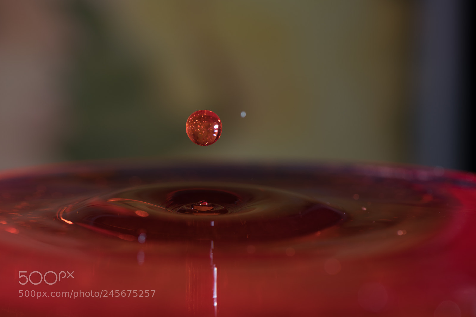 Nikon D850 sample photo. Shape of drop photography