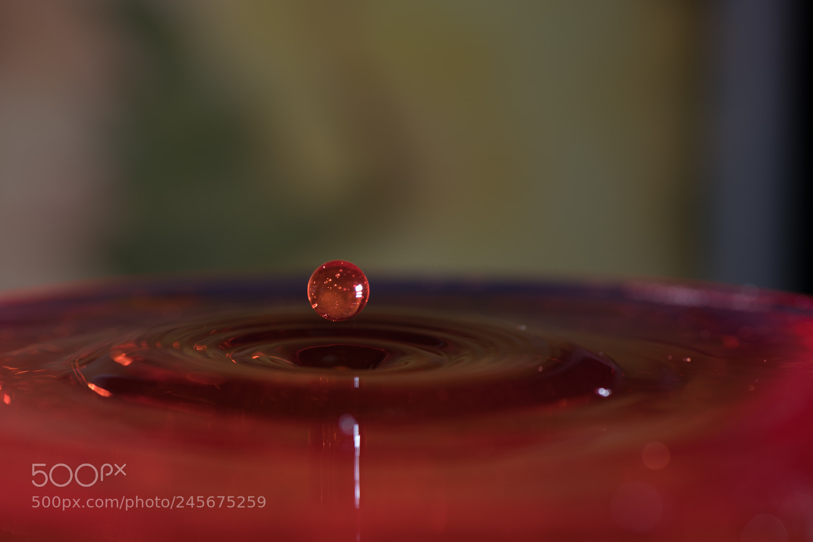 Nikon D850 sample photo. Shape of drop photography