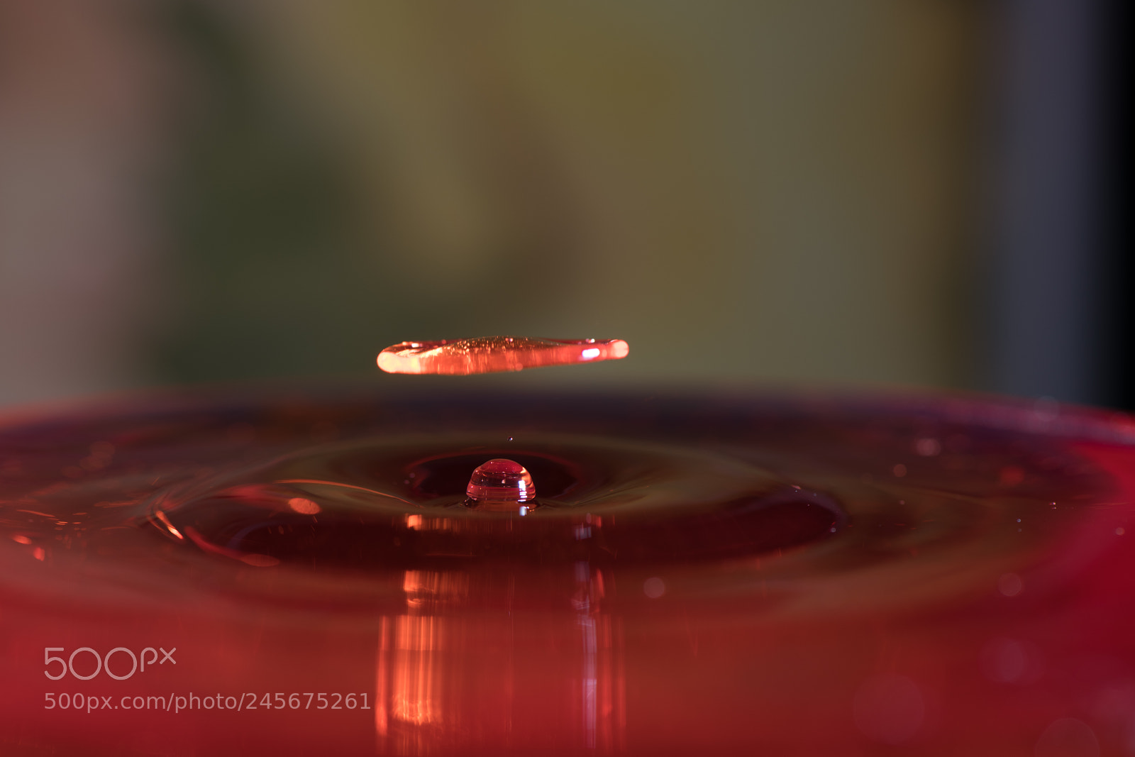 Nikon D850 sample photo. Shape of drop photography