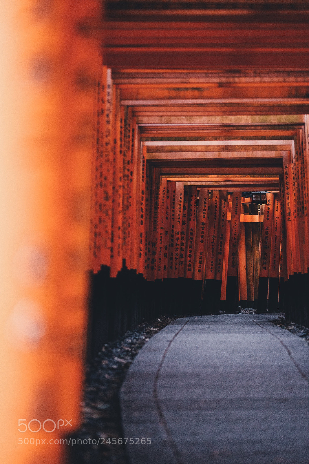 Fujifilm X-T20 sample photo. Fushimi inari taisha photography