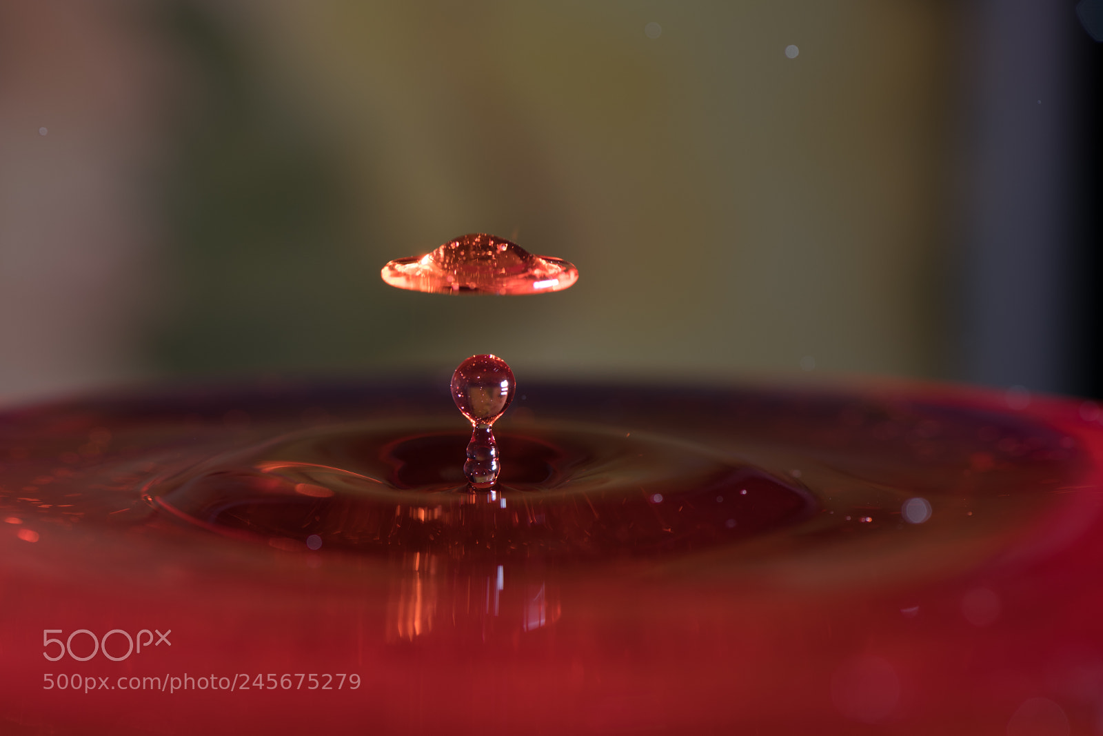 Nikon D850 sample photo. Shape of drop photography