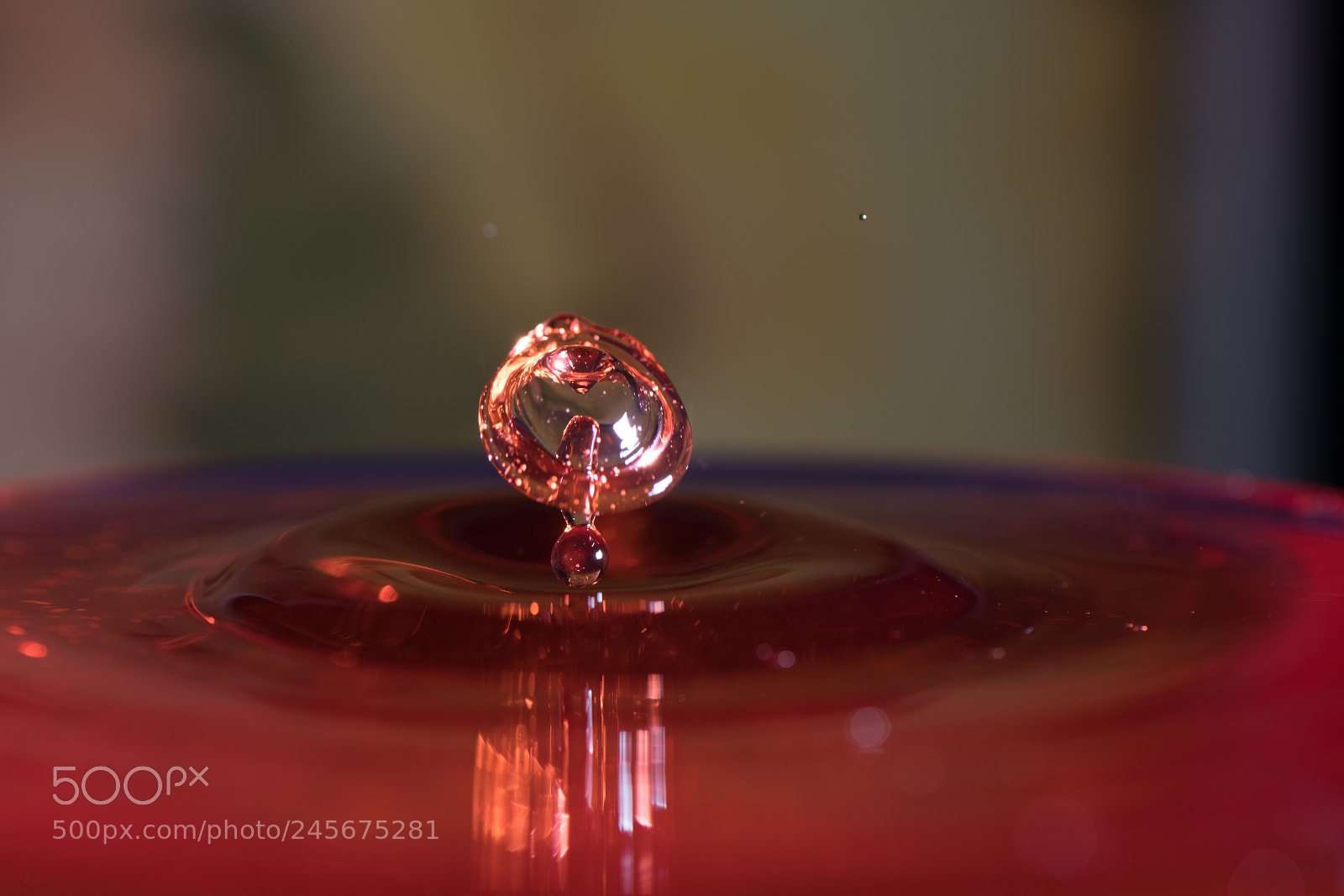 Nikon D850 sample photo. Shape of drop photography
