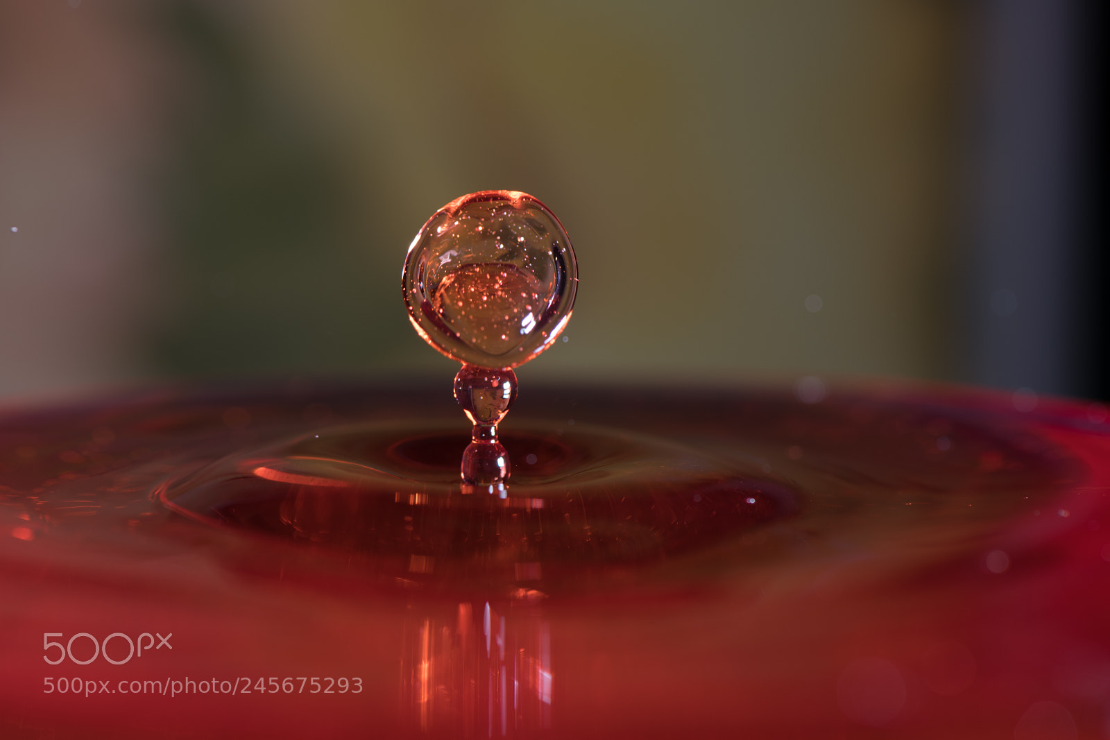 Nikon D850 sample photo. Shape of drop photography