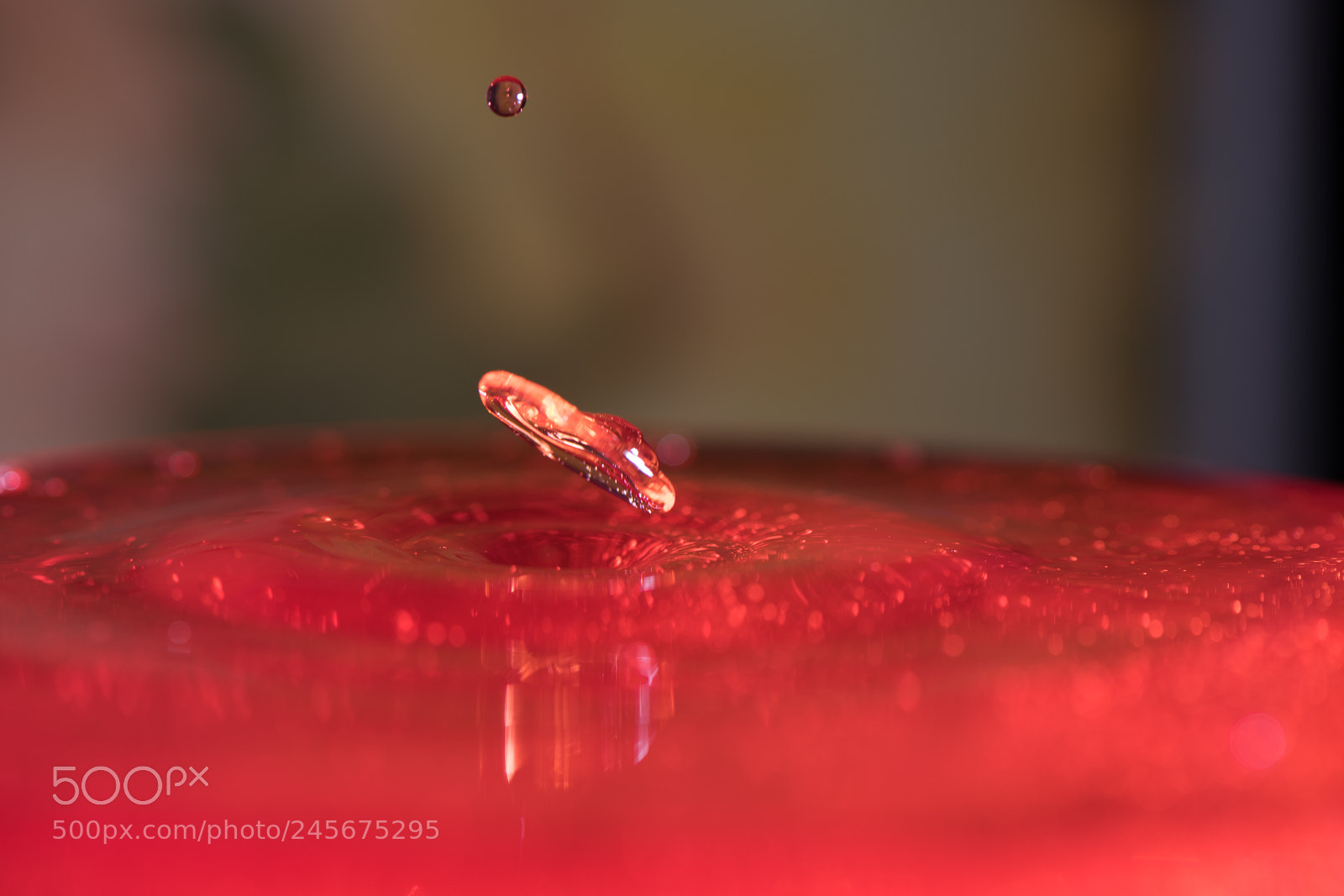 Nikon D850 sample photo. Shape of drop photography