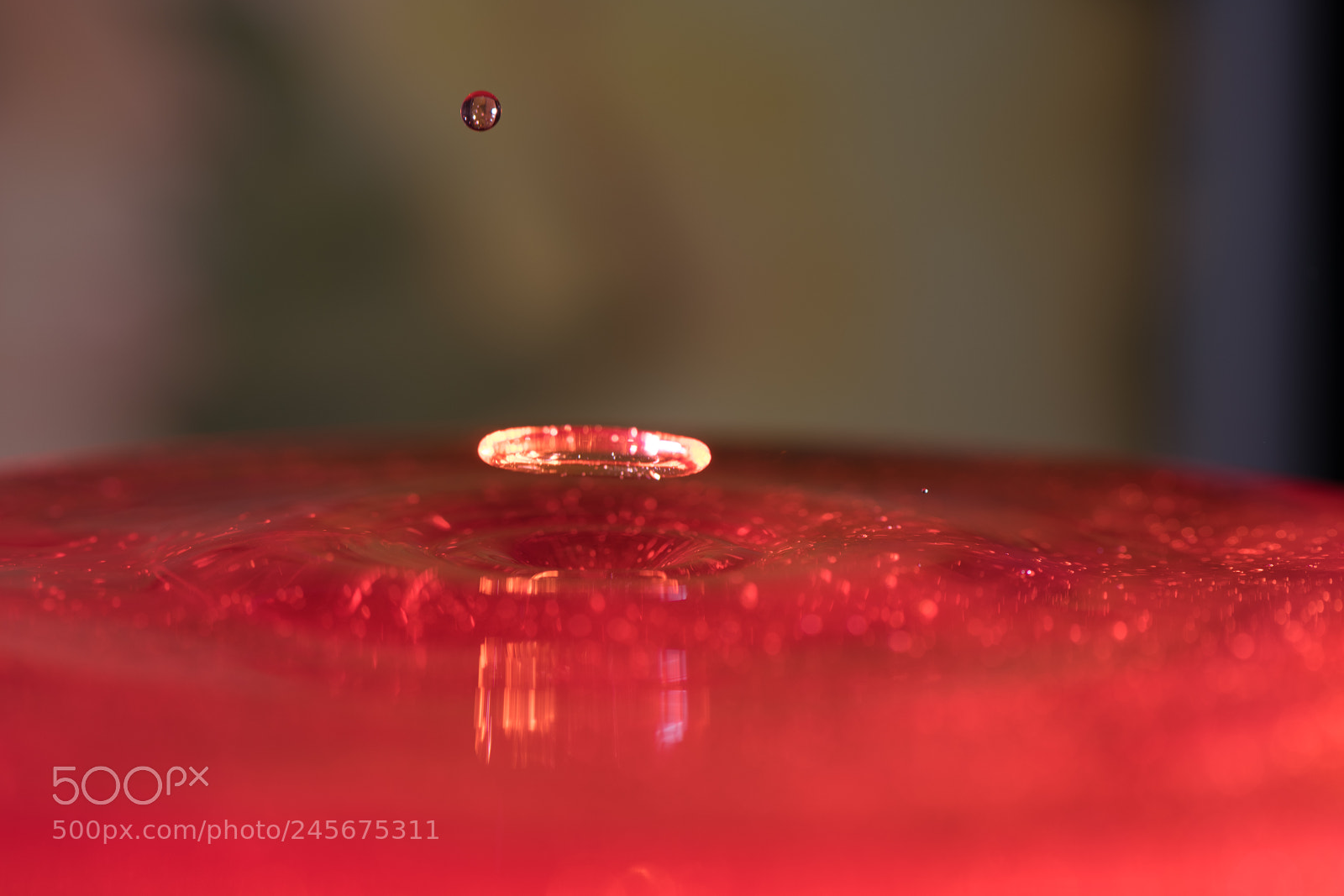 Nikon D850 sample photo. Shape of drop photography
