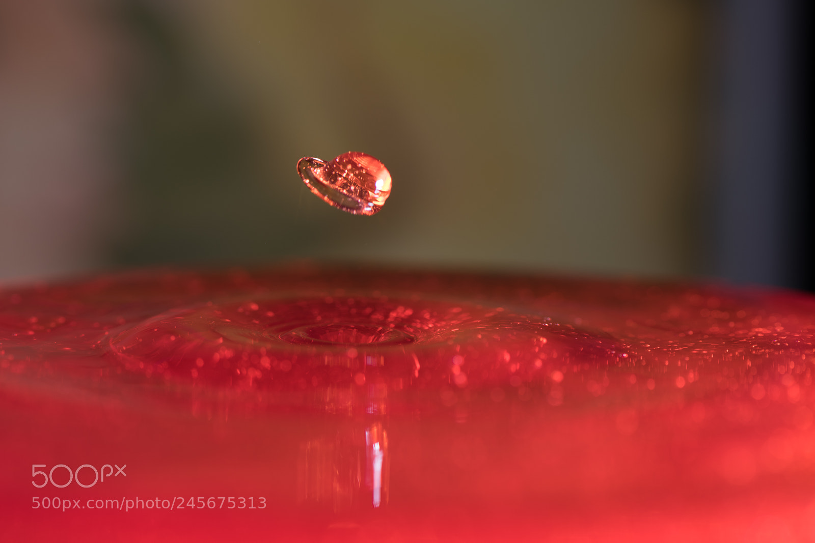 Nikon D850 sample photo. Shape of drop photography