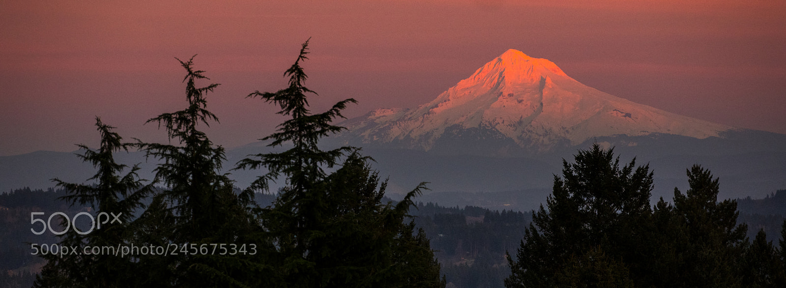 Leica CL sample photo. Mt hood at sunset photography
