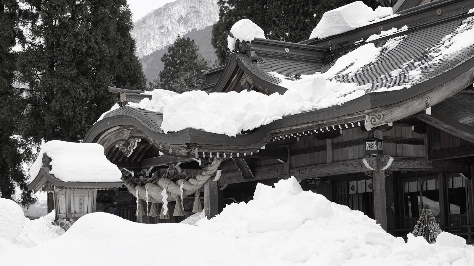 Sony a7R II sample photo. Shrayamahime shrine photography