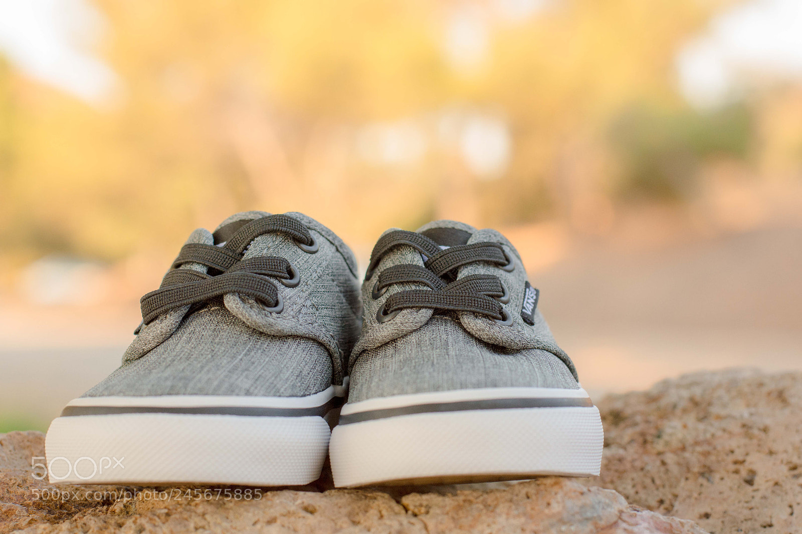 Nikon D7100 sample photo. Untitled photography