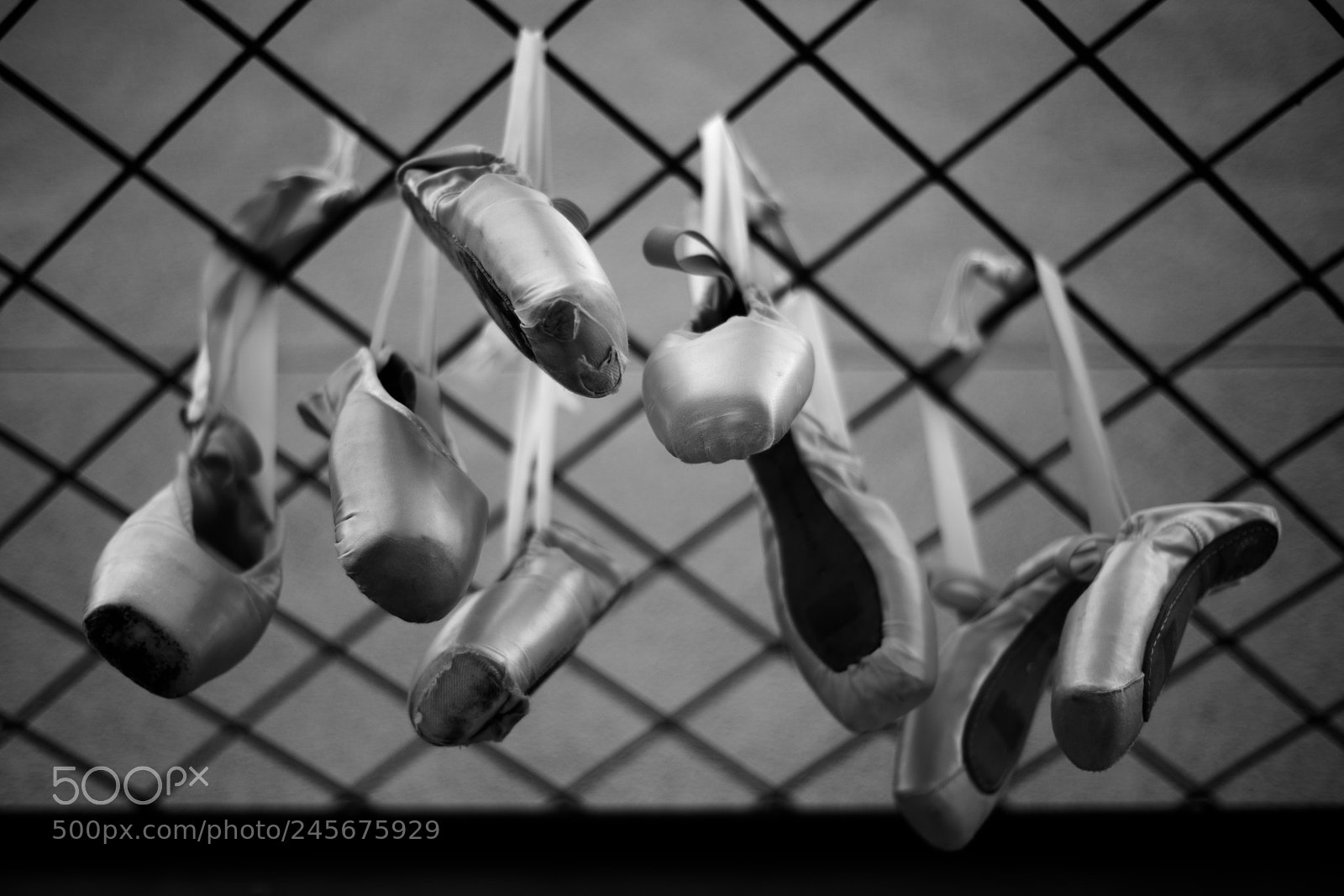 Nikon D600 sample photo. Suspended soubresaut photography