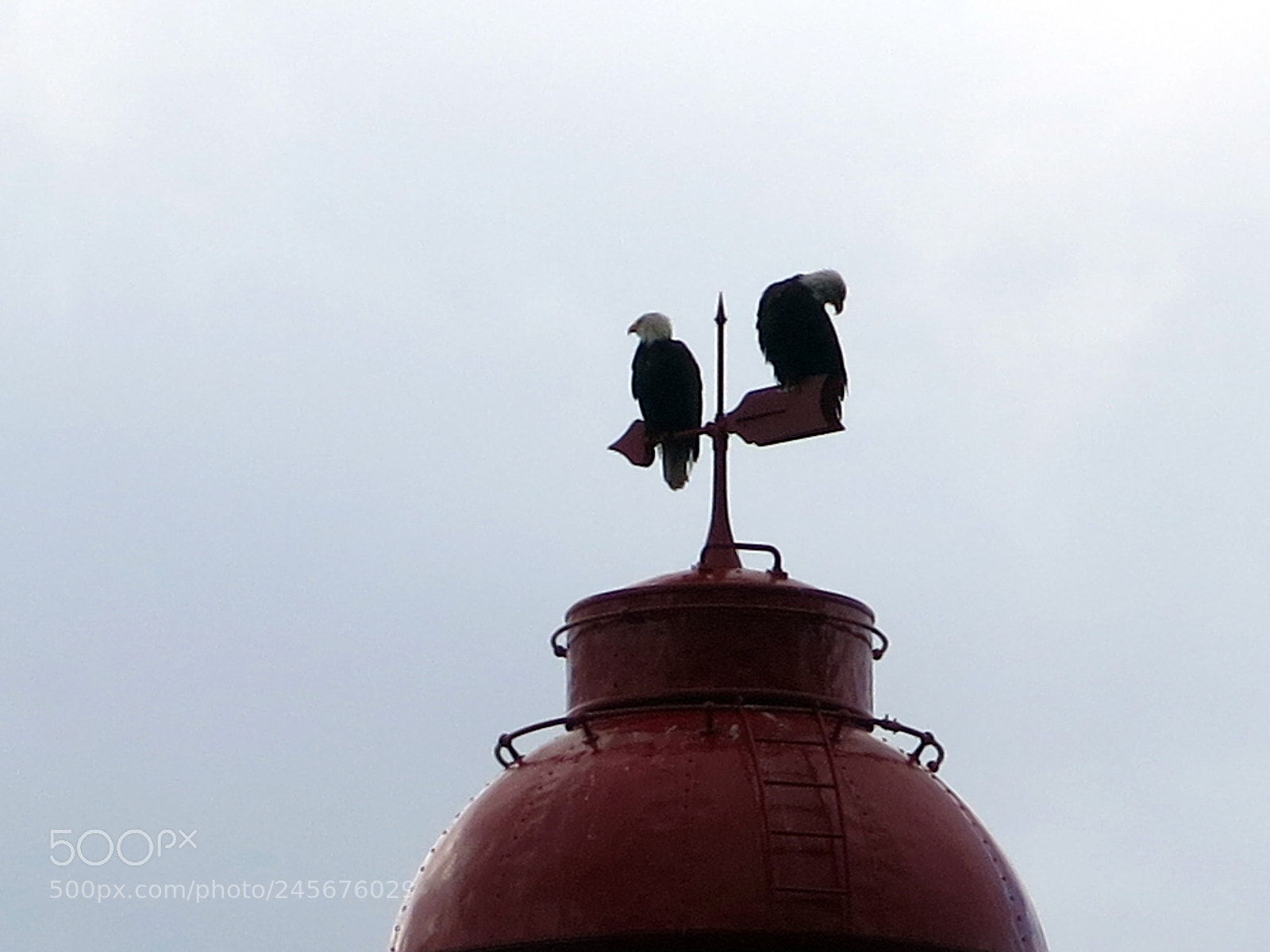 Canon PowerShot G15 sample photo. Lighthouse, eagles photography