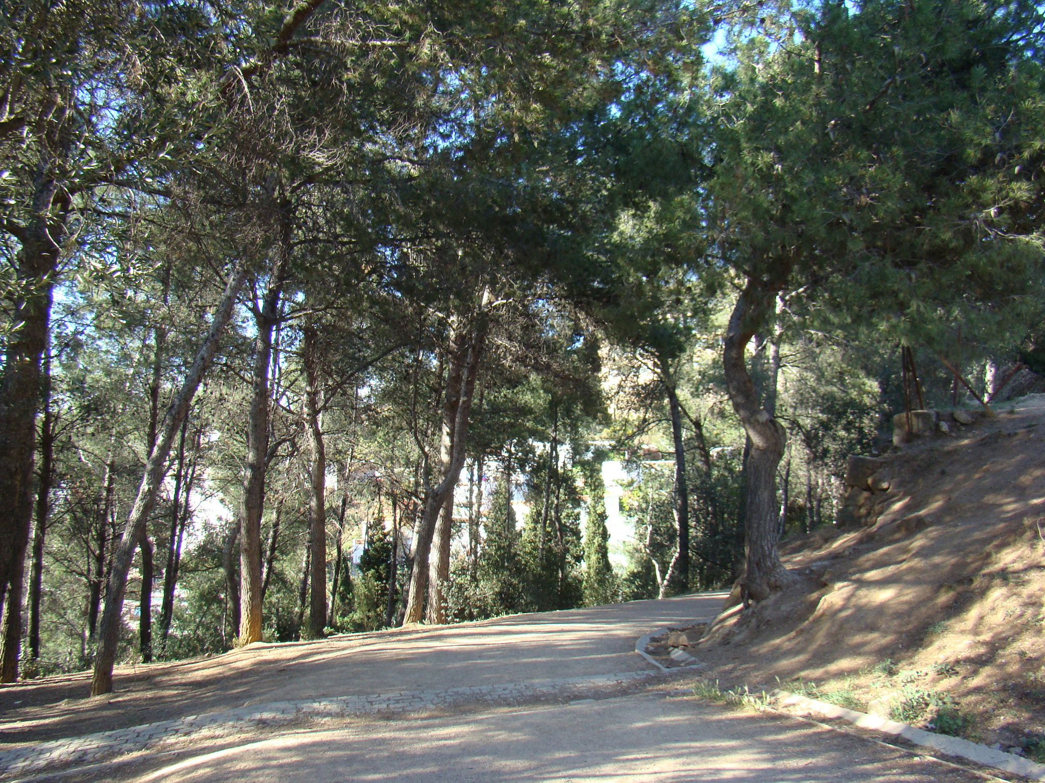 Sony DSC-H9 sample photo. Güell en color photography