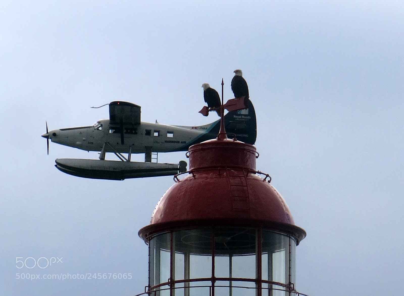 Canon PowerShot G15 sample photo. Lighthouse, eagles photography
