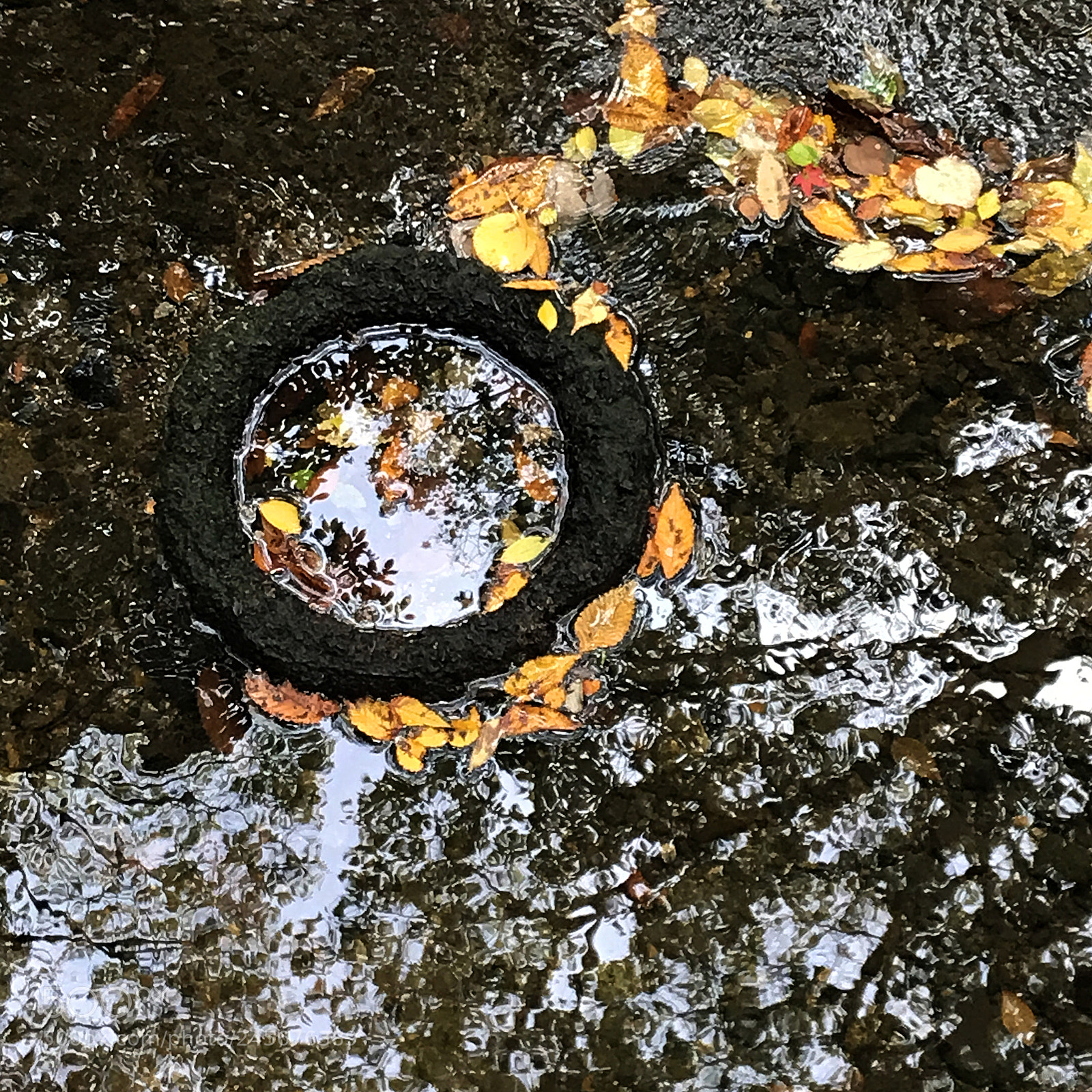 Apple iPhone 7 sample photo. 水様=appearance of water-157 photography