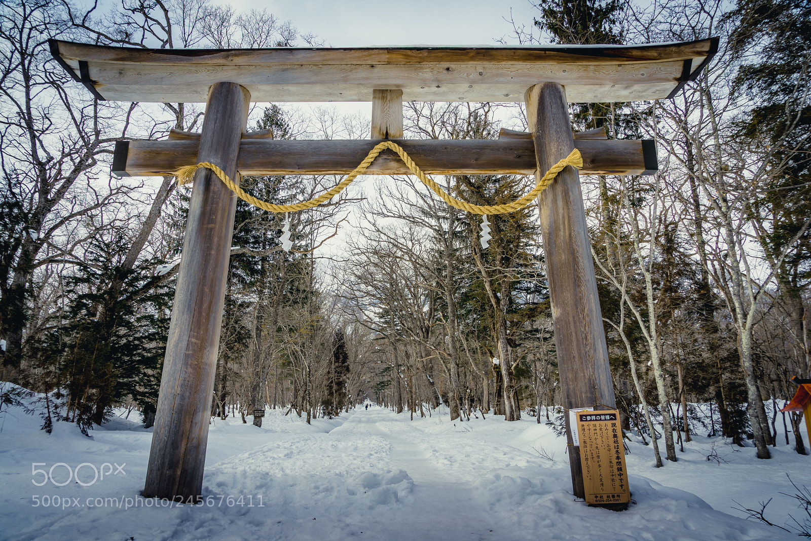 Sony a7R sample photo. Togakushi shrine photography