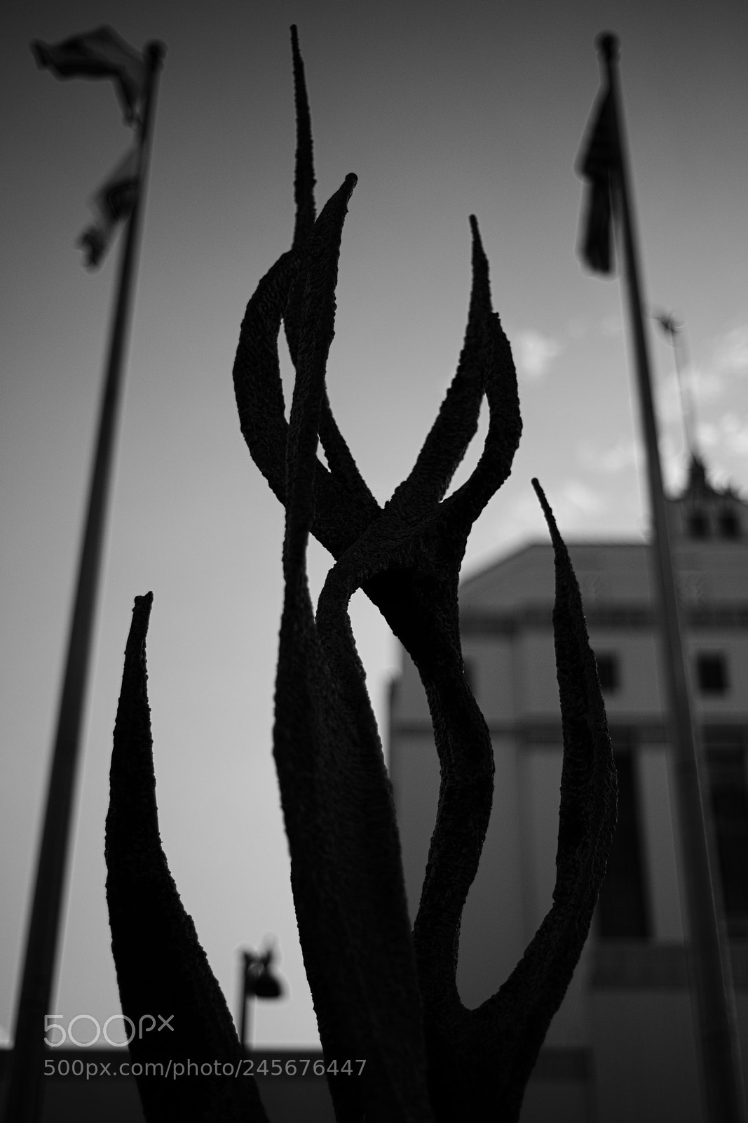 Nikon D600 sample photo. What grows between us photography