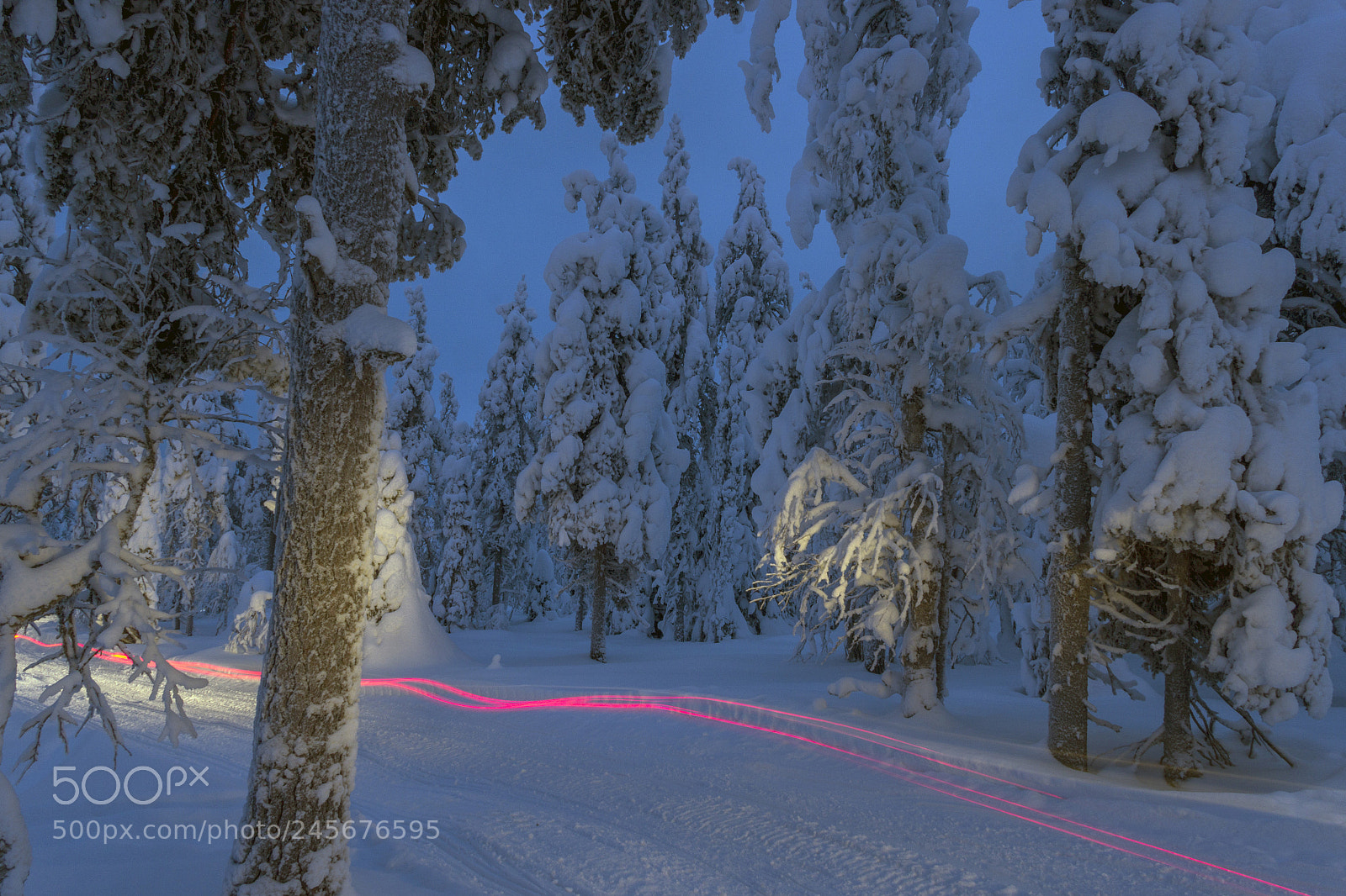 Canon EOS 600D (Rebel EOS T3i / EOS Kiss X5) sample photo. Snowmobile lines photography