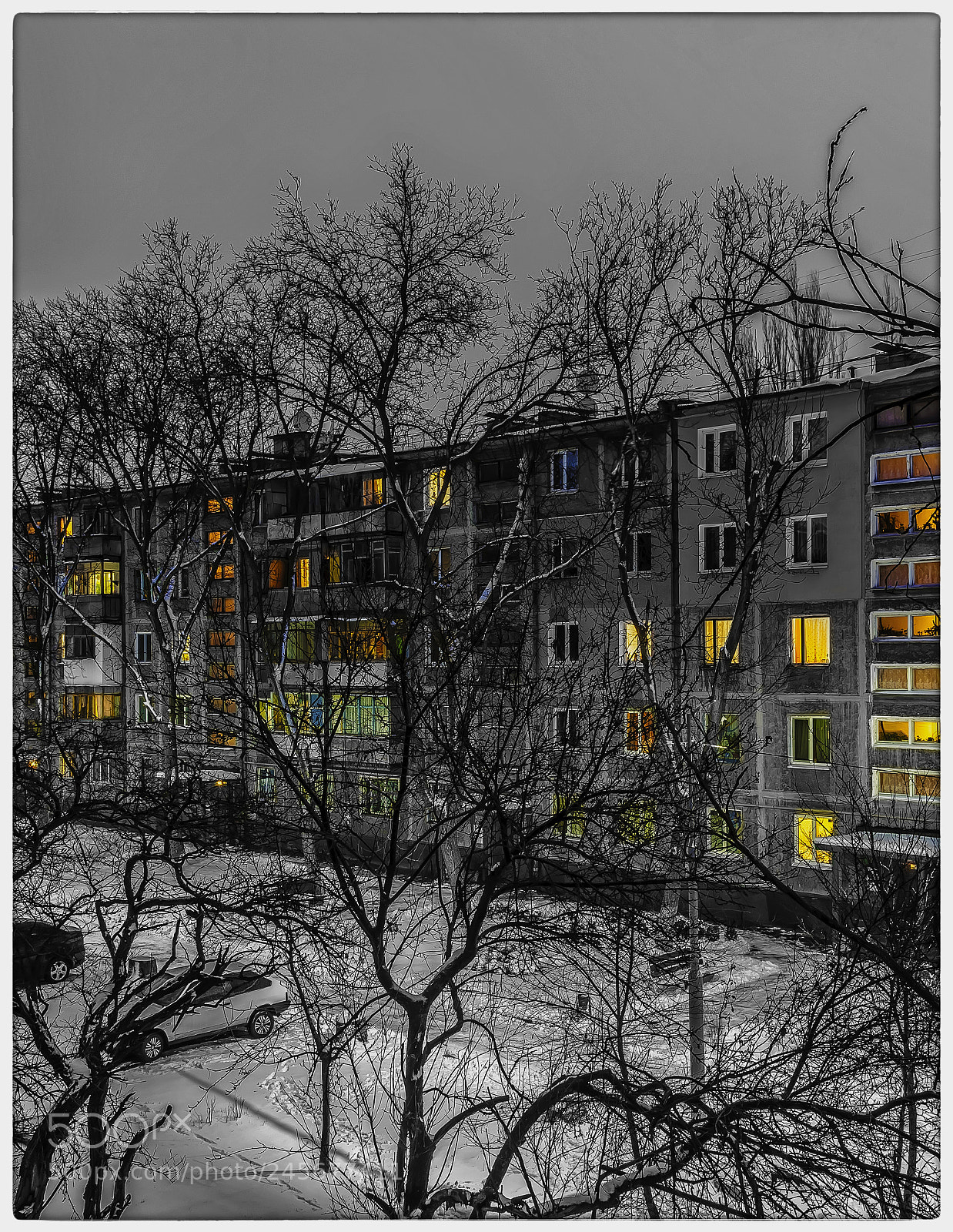 Nikon D90 sample photo. Windows... photography