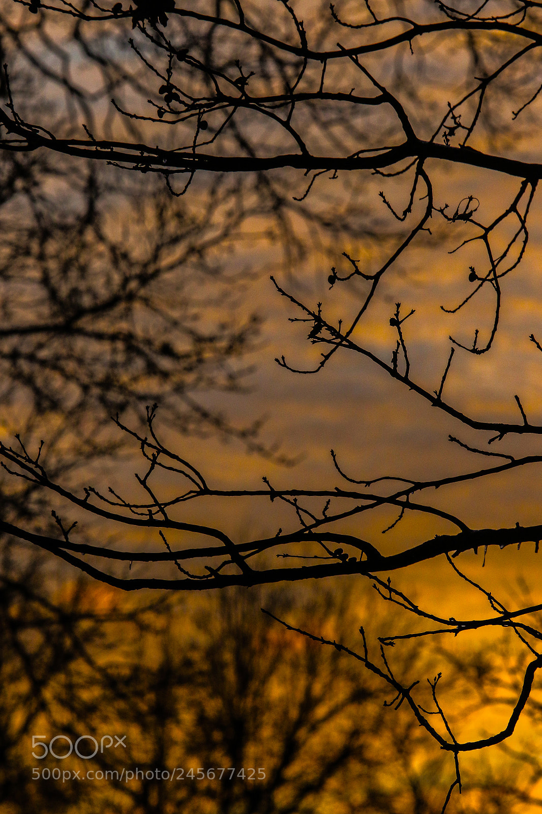 Canon EOS 7D Mark II sample photo. Untitled photography