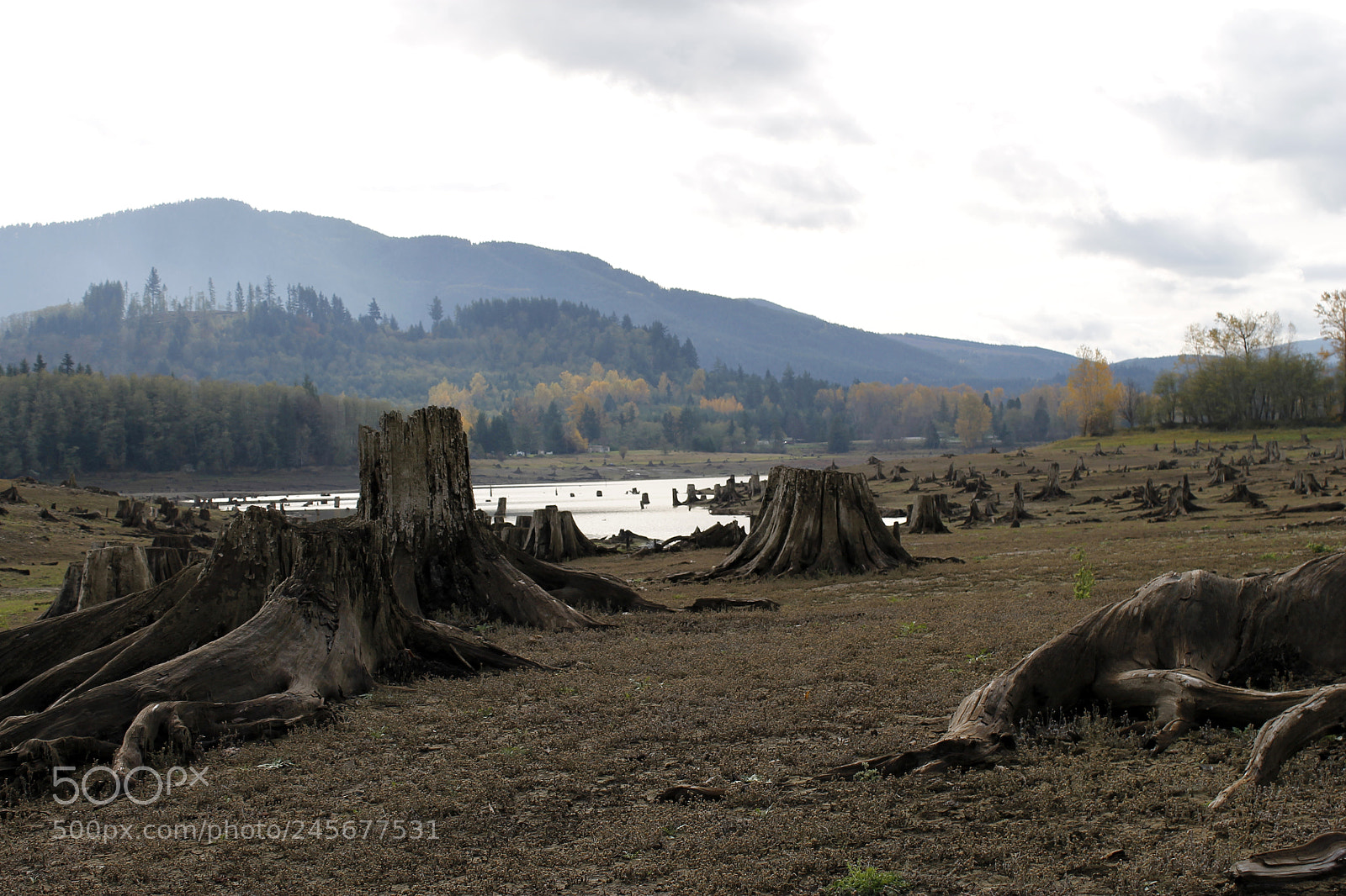 Canon EOS 1100D (EOS Rebel T3 / EOS Kiss X50) sample photo. Stump lake photography