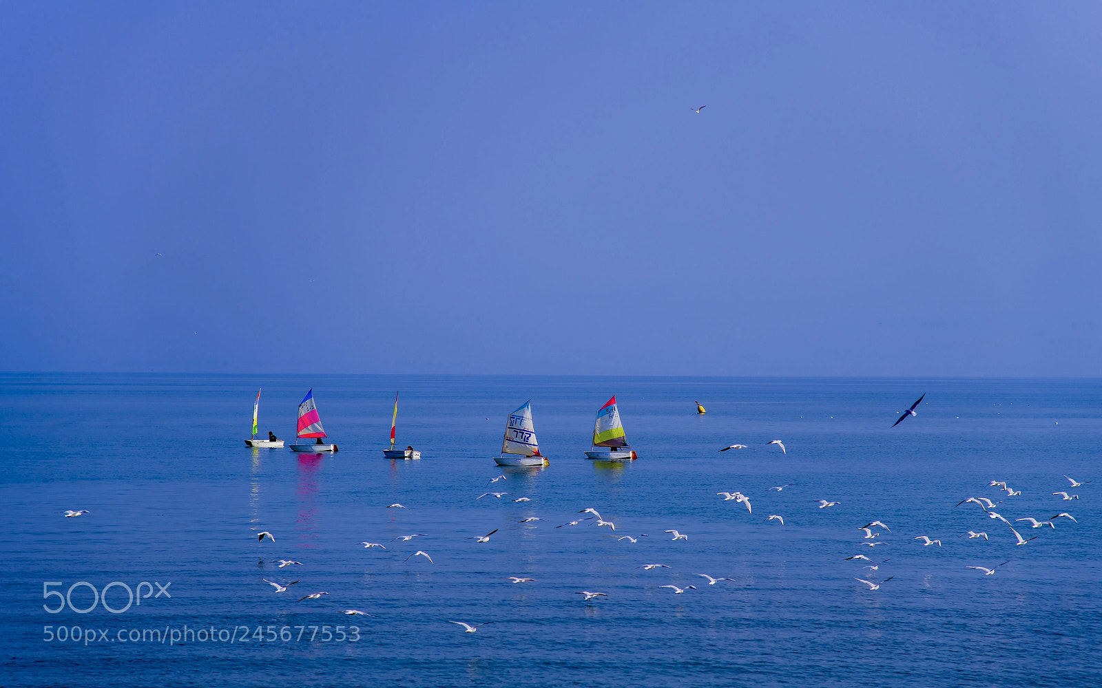 Nikon D850 sample photo. Lake galilee photography