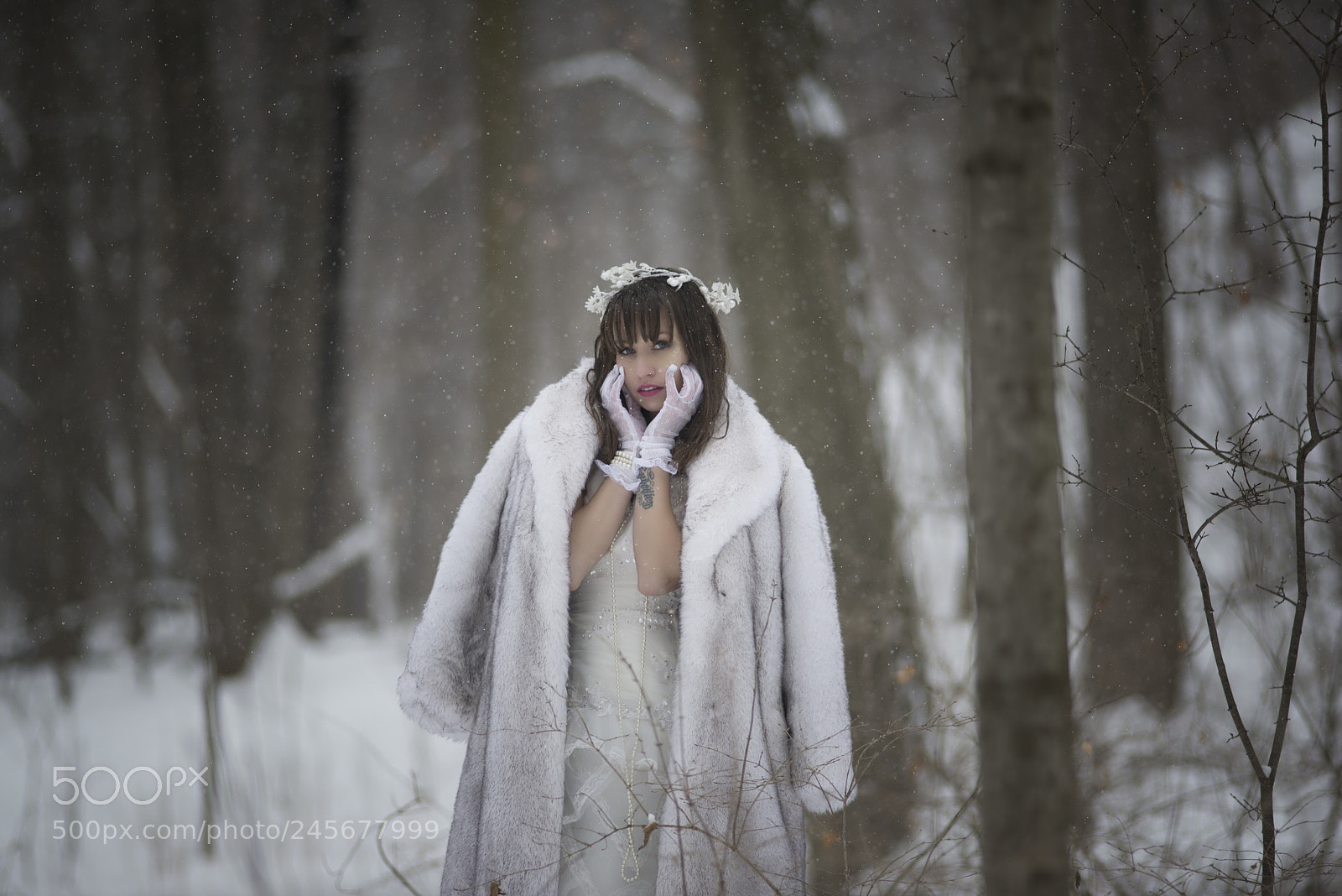 Nikon D610 sample photo. Untitled photography