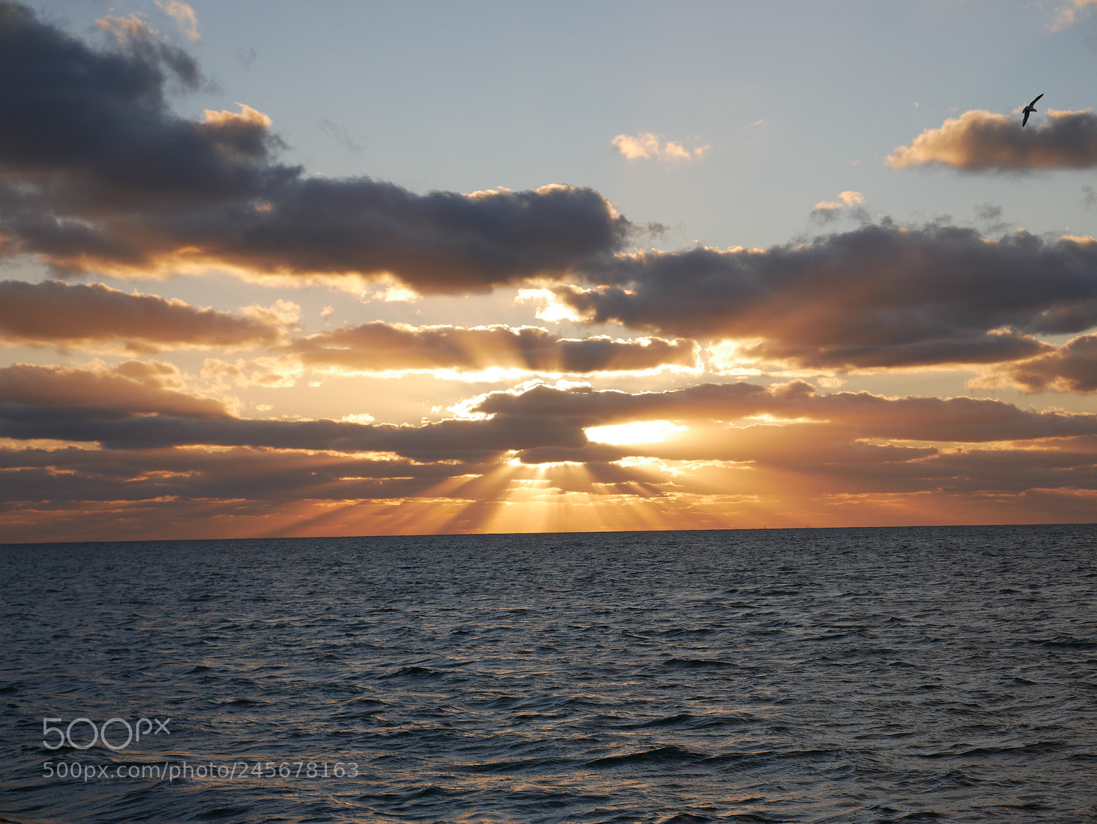 Panasonic Lumix DMC-G7 sample photo. Florida sunset photography